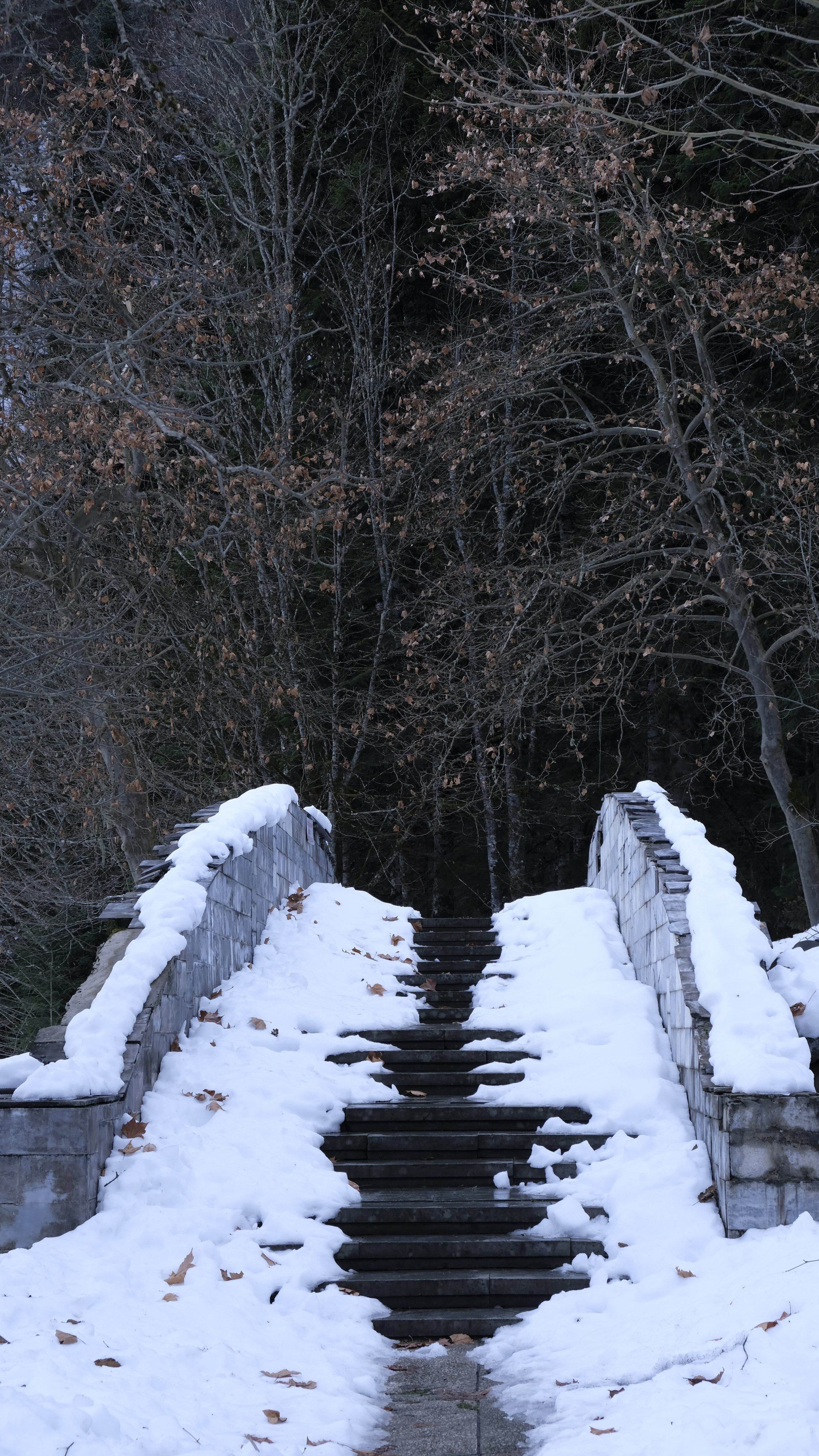 Сталинская дача на Рице зимой. Главная