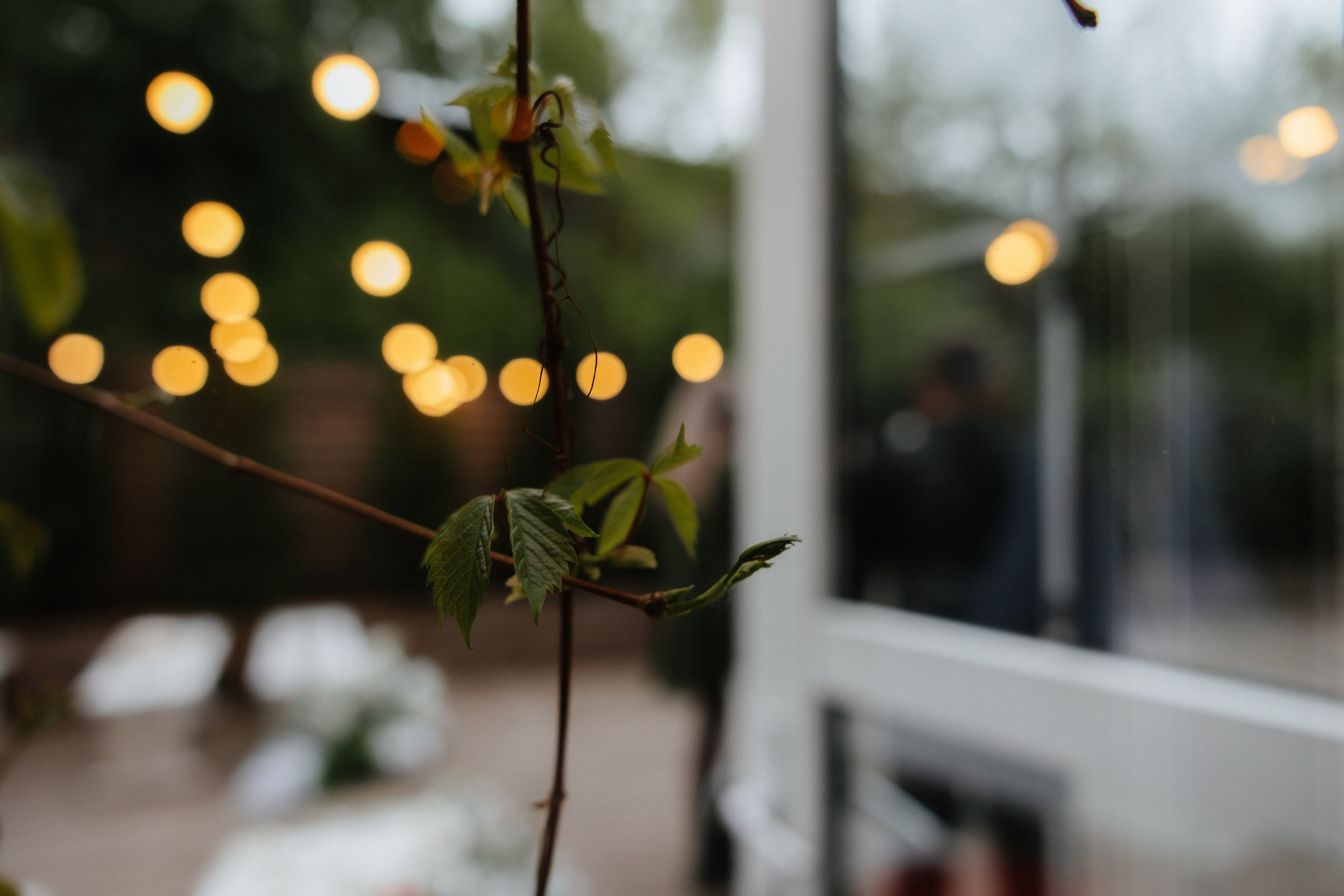 Анастасия и Владимир. Студия 12.24. Алена Бадамшина — свадебный фотограф Воронеж / Москва