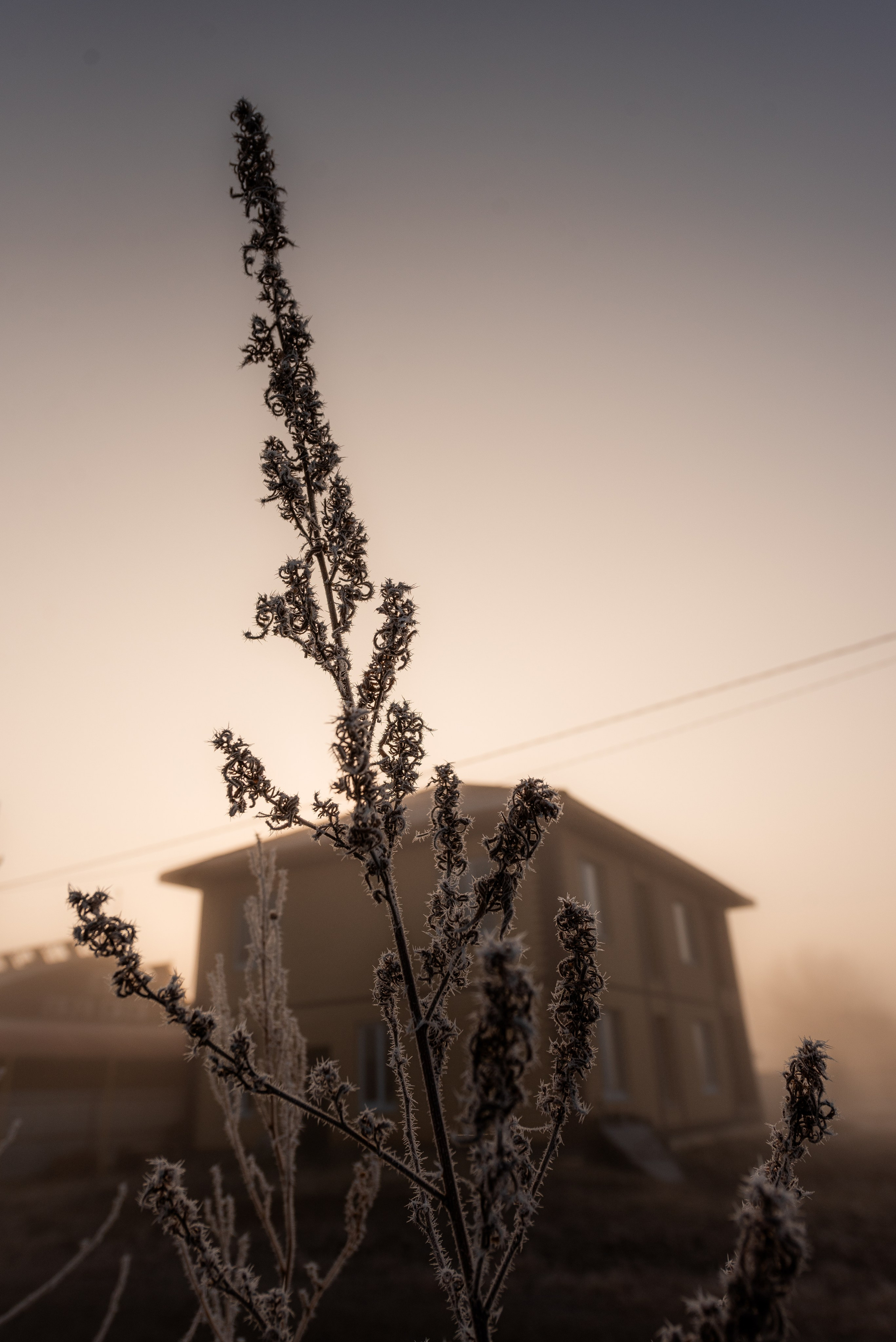 Фотографии утреннего тумана под Волжским. Фотограф в Волгограде и Волжском Александр Горбань