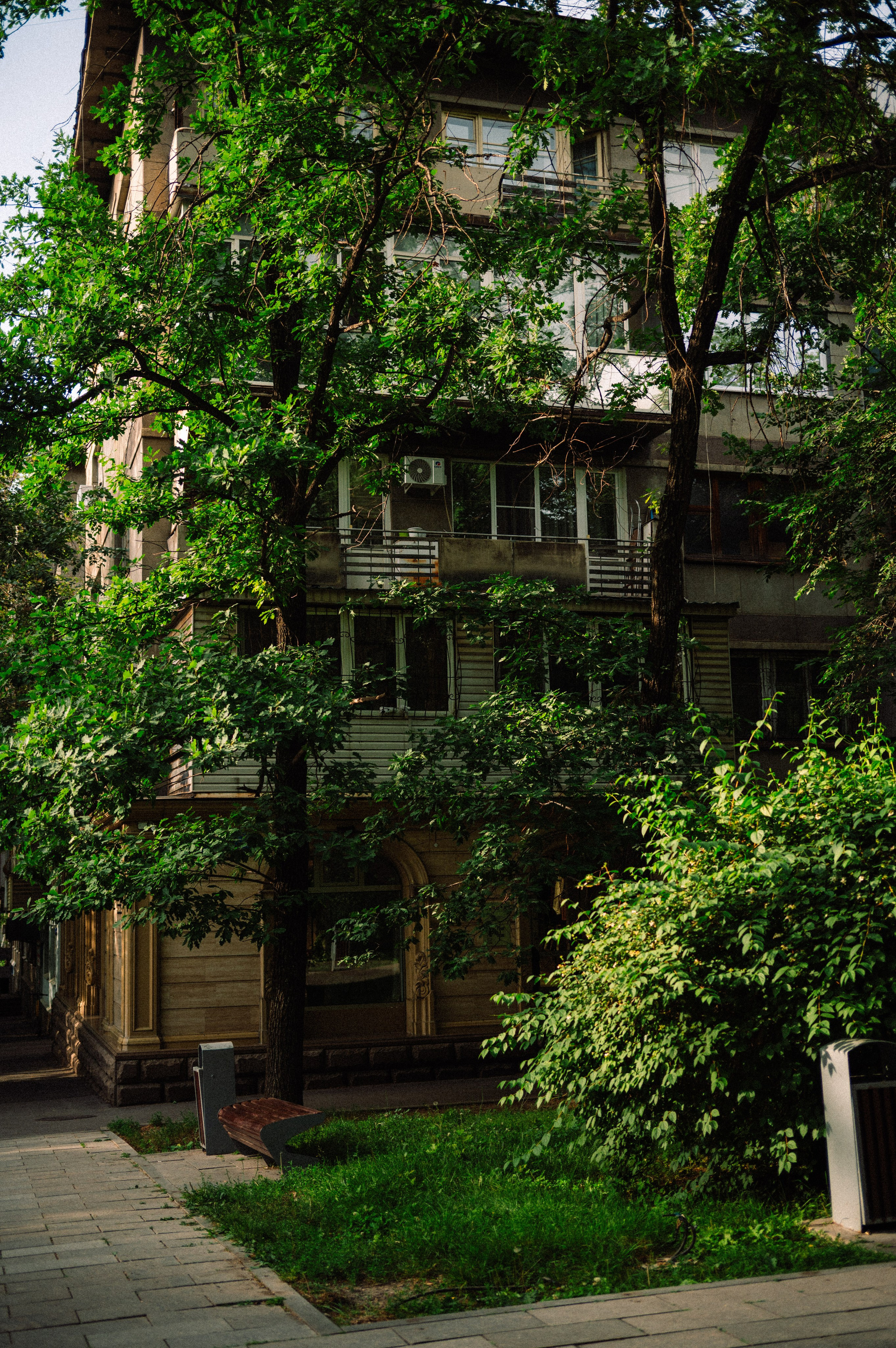 Стрит: Алматы, лето 2025. Фотограф в Алматы — Дарья Фёдорова