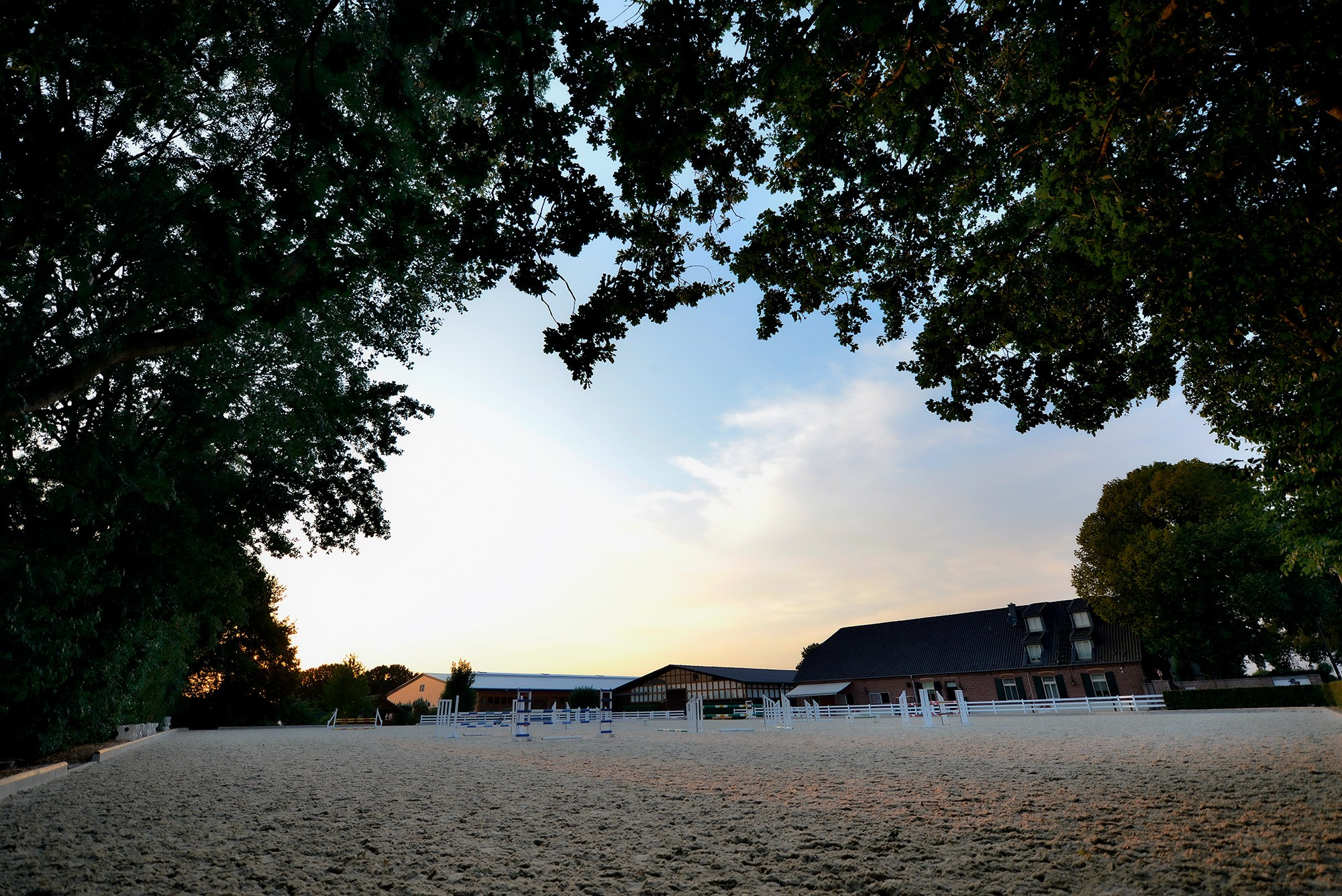 Конные клубы. Конный фотограф Alesya Safe