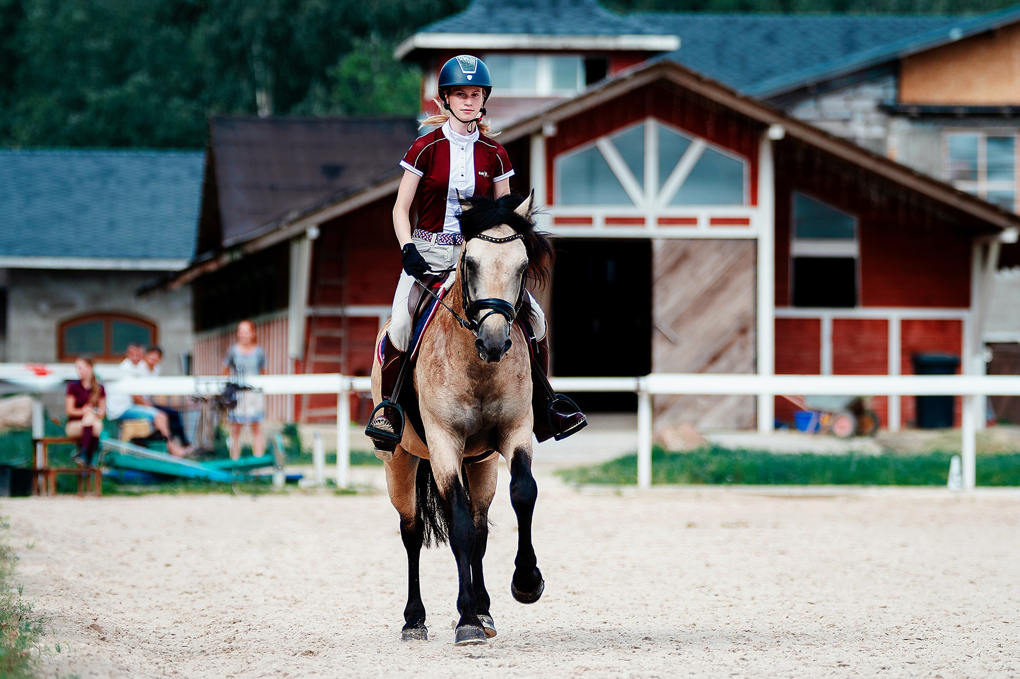 Тренировки. Конный фотограф Alesya Safe