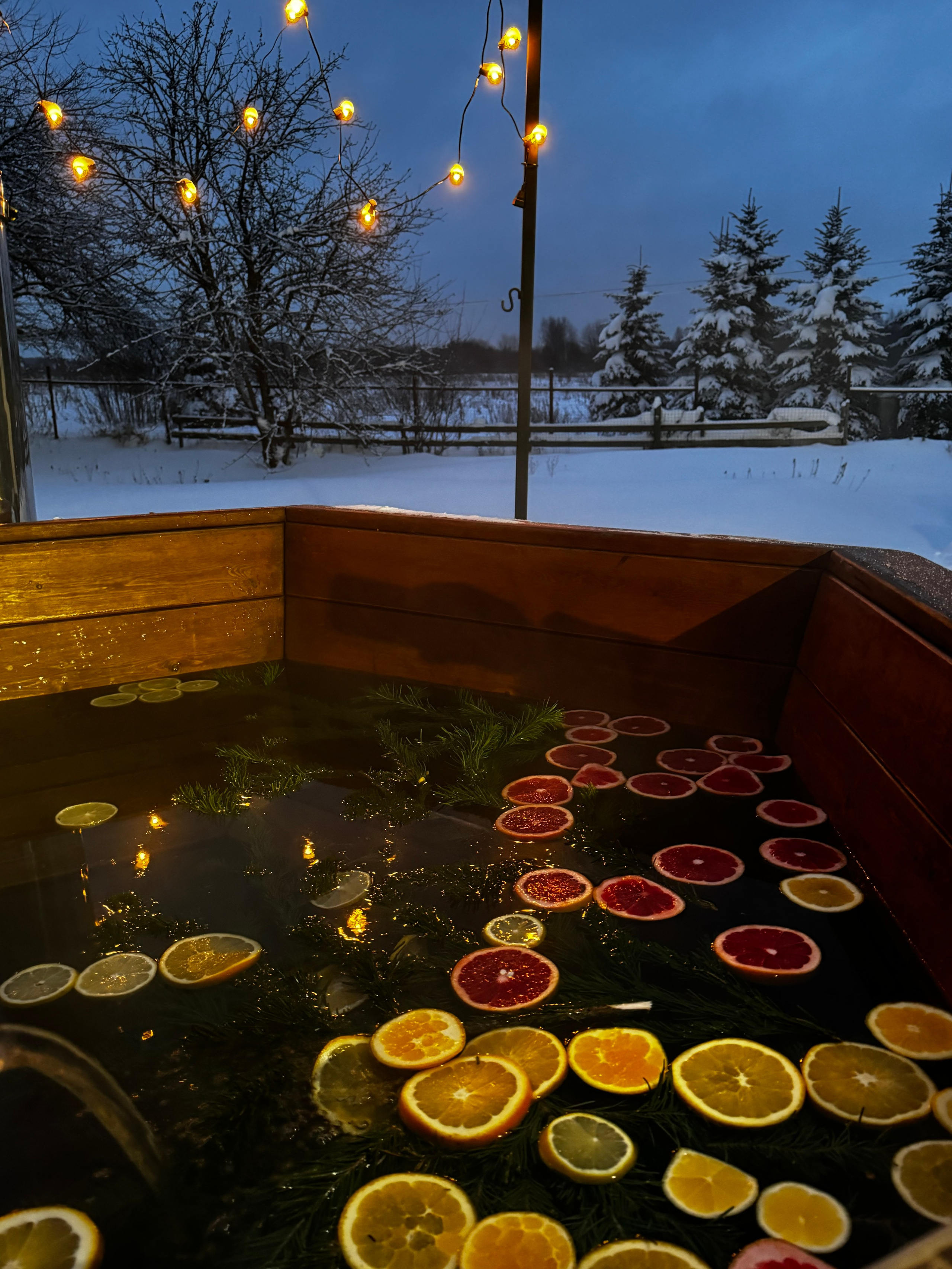 Чан. Организатор загородного отдыха в Переславле Валерия