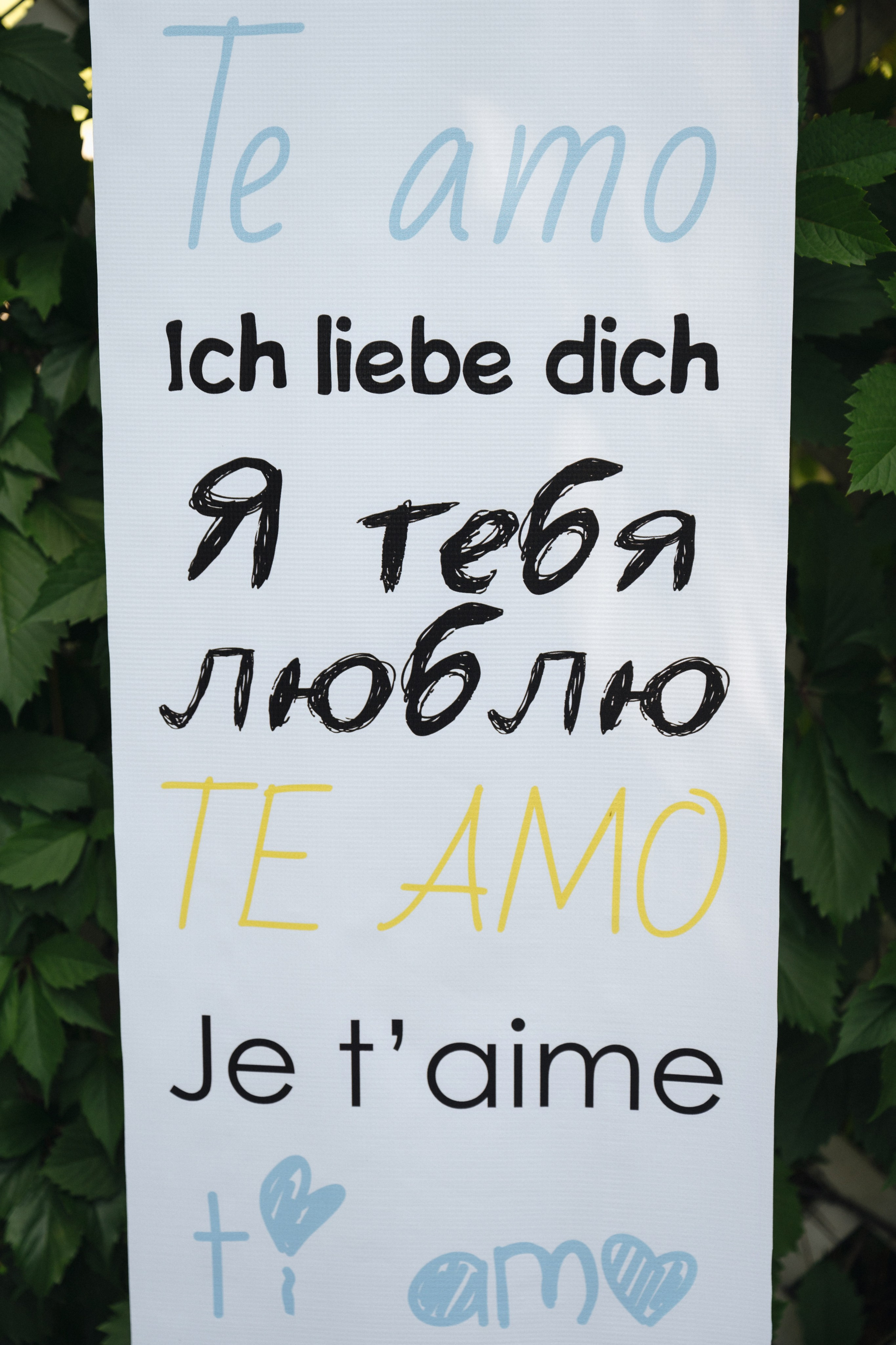 Александр и Екатерина. Свадебный и портретный фотограф на Алтае Кузнецова Людмила