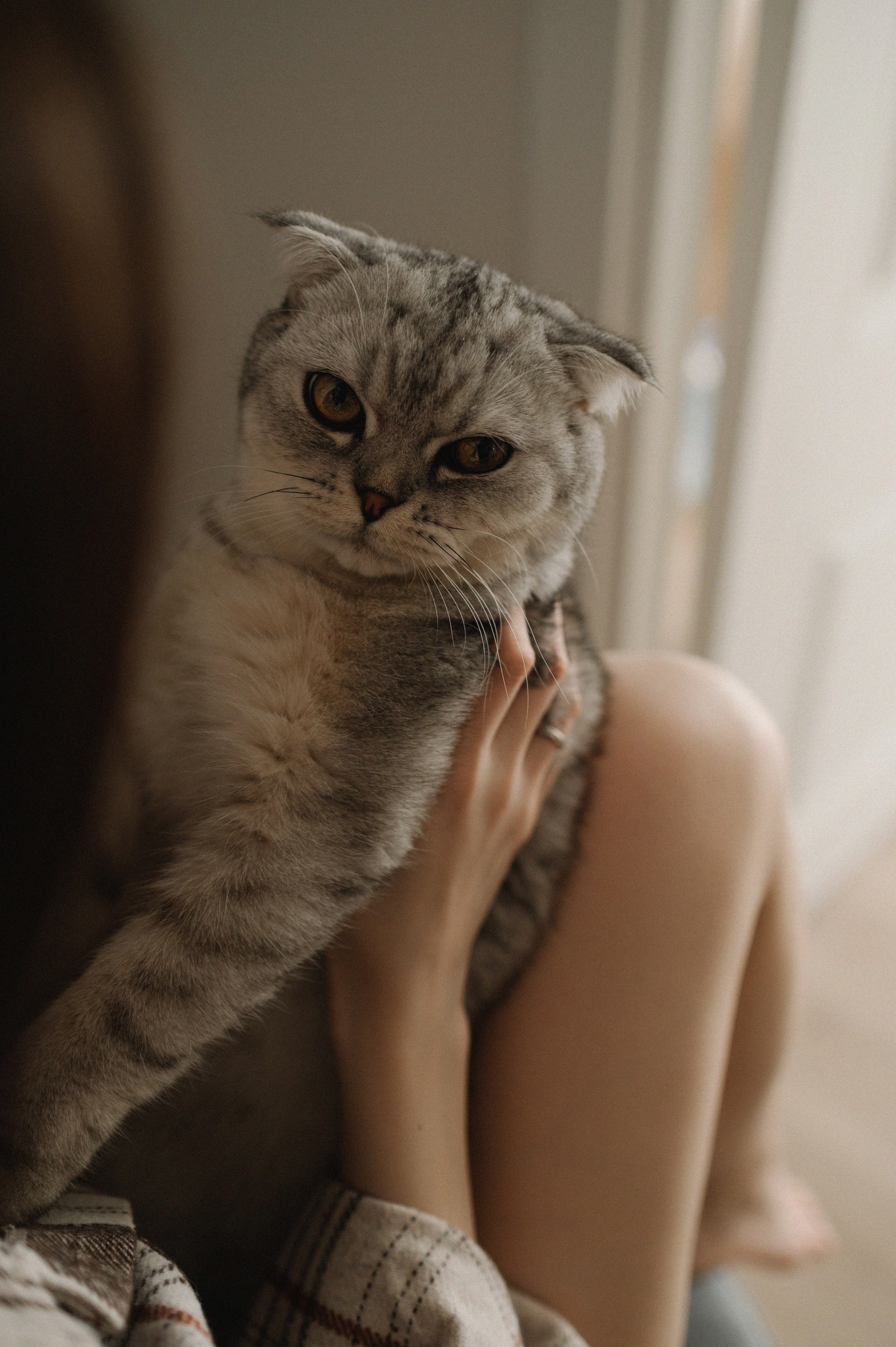 Алина. Свадебный и портретный фотограф Анастасия Тетёркина, Брянск и Санкт-Петербург