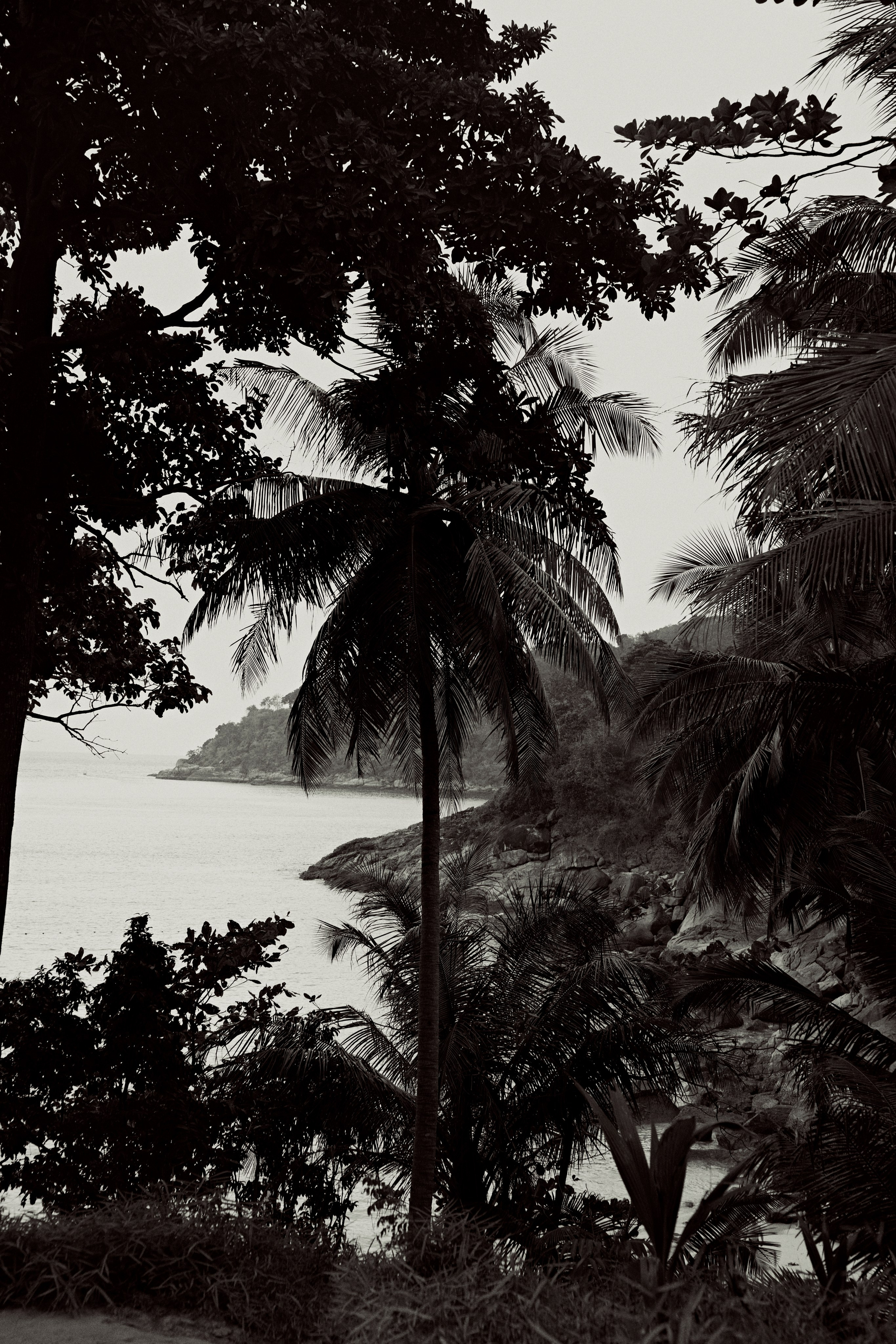 ТАИЛАНД. Студийный фотограф в Екатеринбурге Бшари Заана