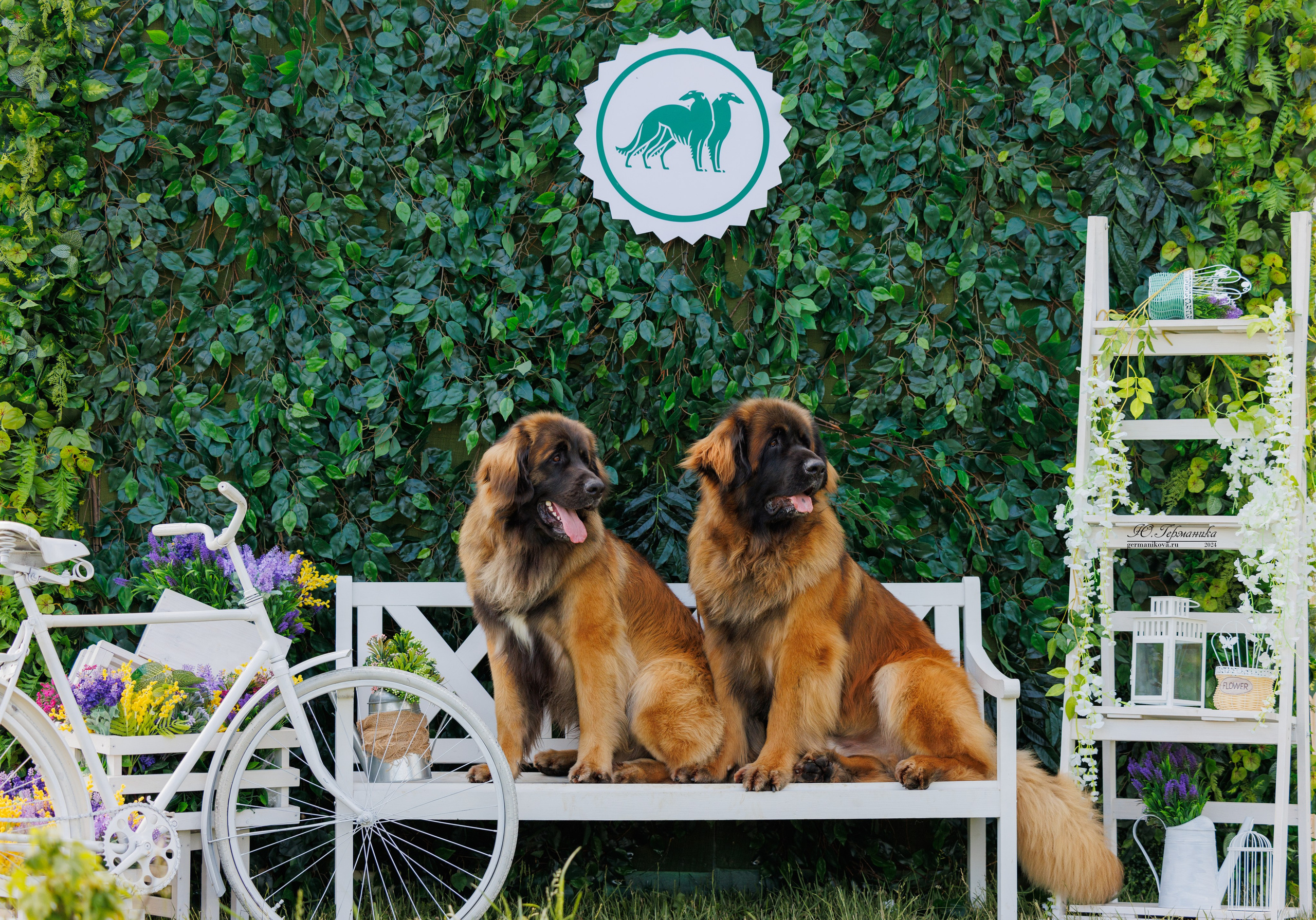 РОССИЯ 8-9.06.2024. Фотограф-анималист Юлия Германика