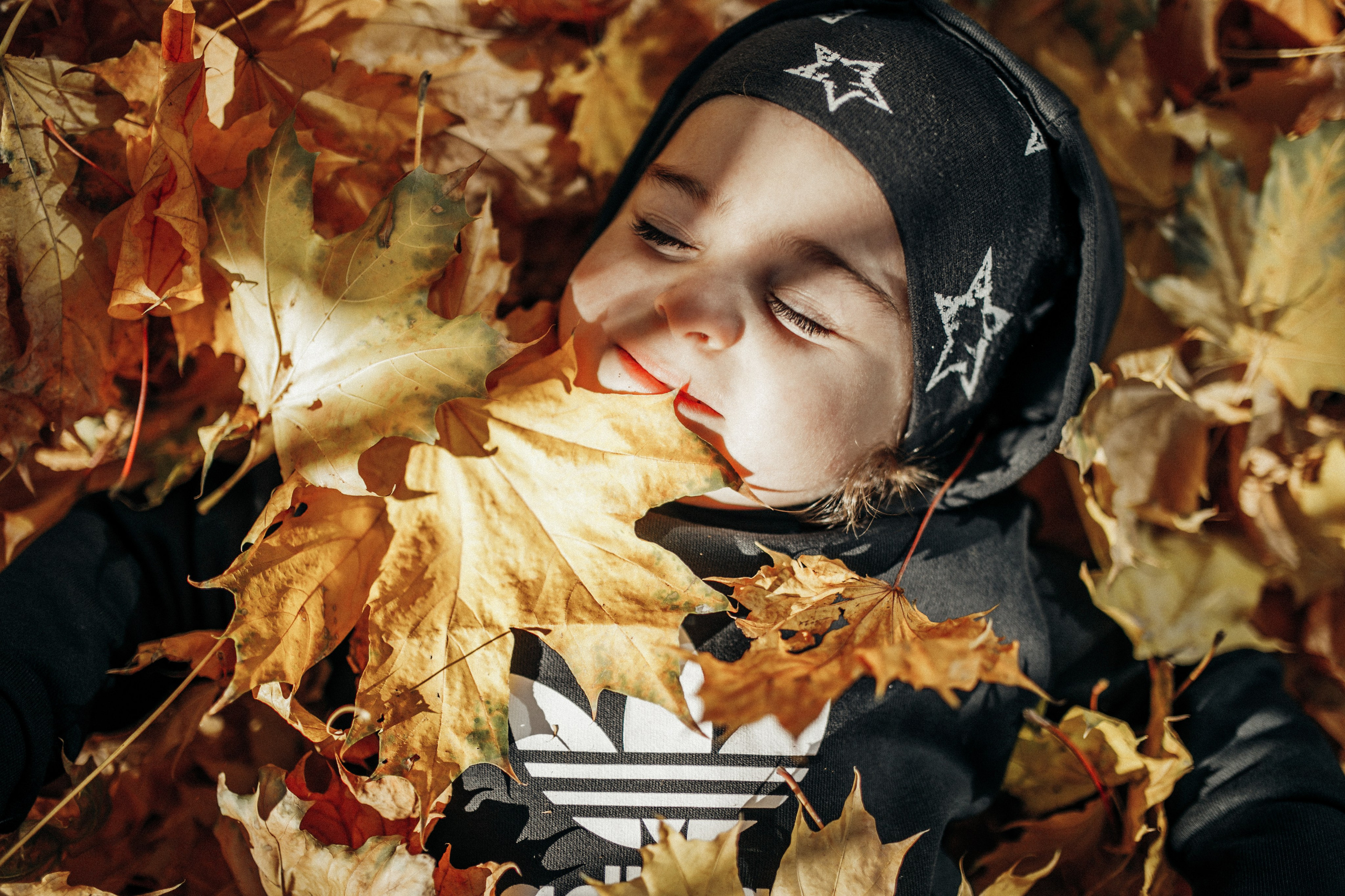 КОГДА ДЕРЕВЬЯ БЫЛИ БОЛЬШИМИ. Фотограф Лебедева Наталья