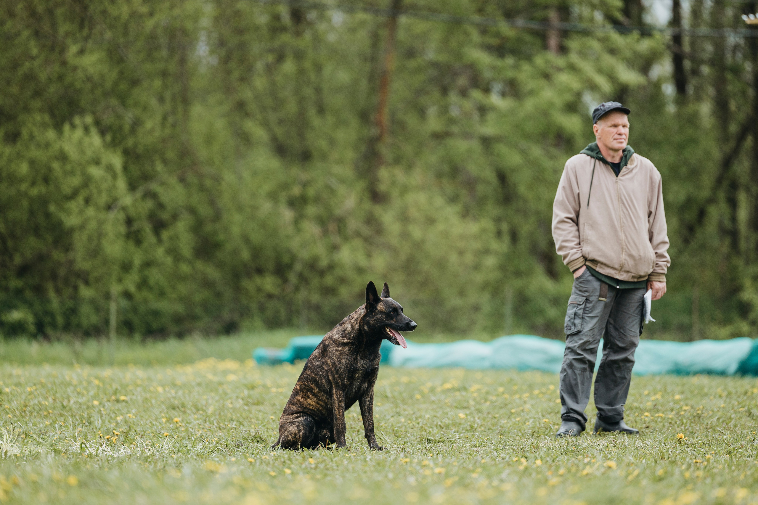 26.05.25 г. Пушкин квалификационные соревнования. Фотограф-анималист Анна Маринич