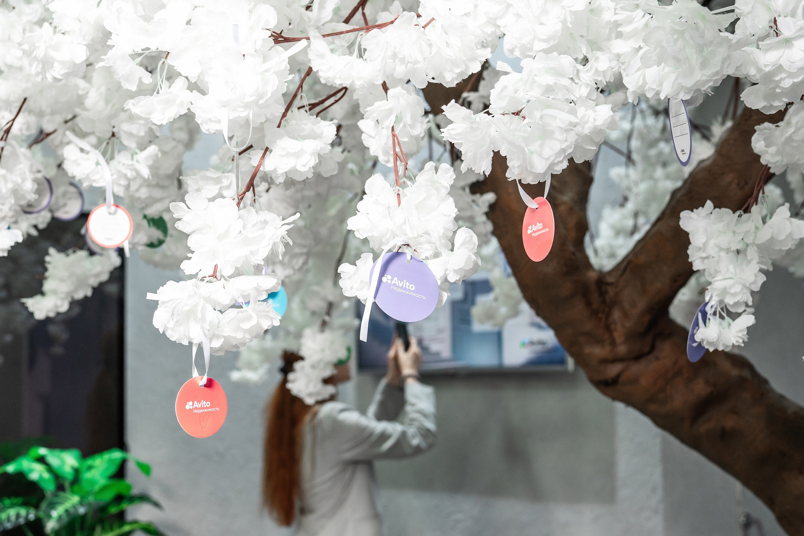 Форум Движение фотоотчет. Фотограф Сочи