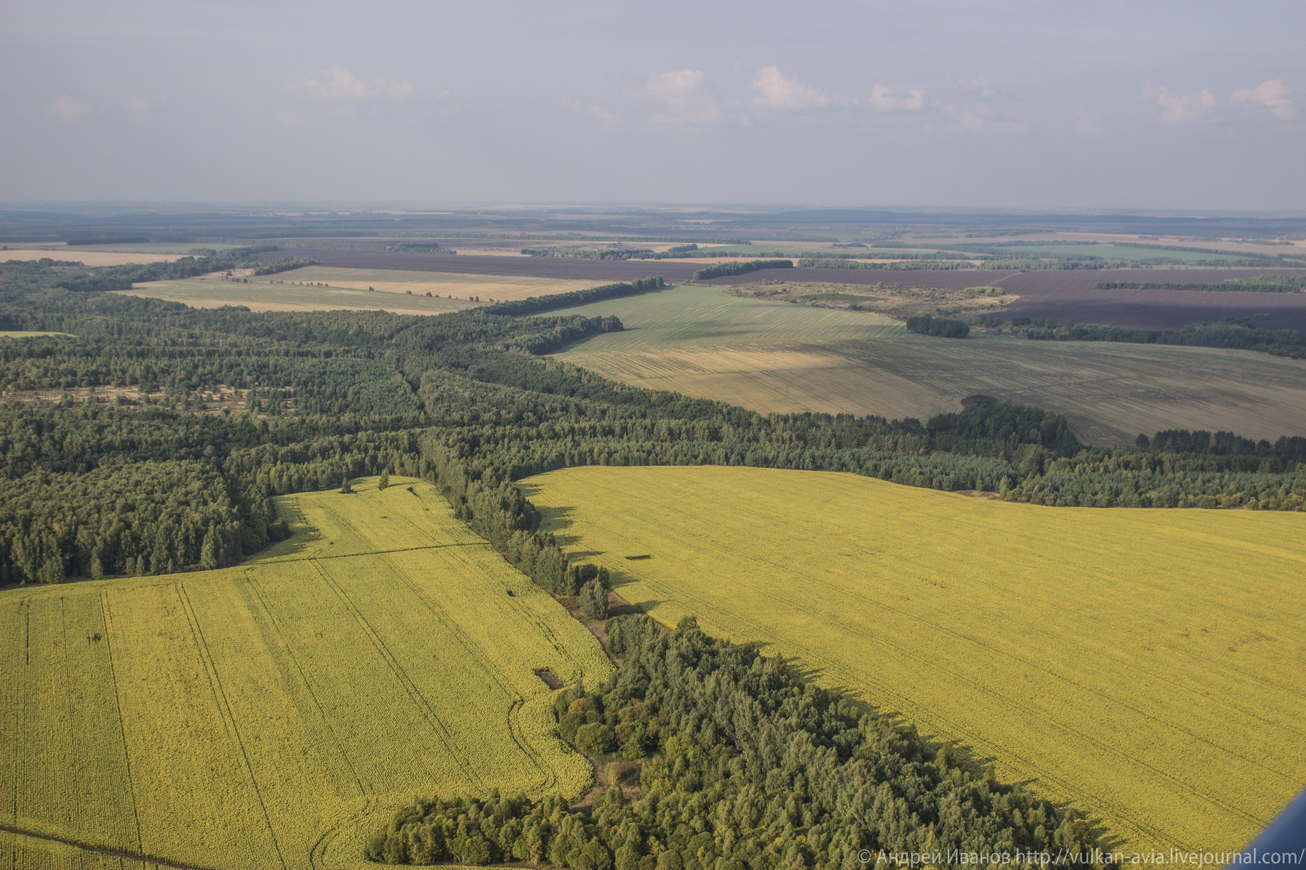 Волгодонск аэр. Потапов слёт «Небо для всех» (2021 г.). Фотоальбом показывающий увлекательный мир авиации и мир медведей Андрея Иванова