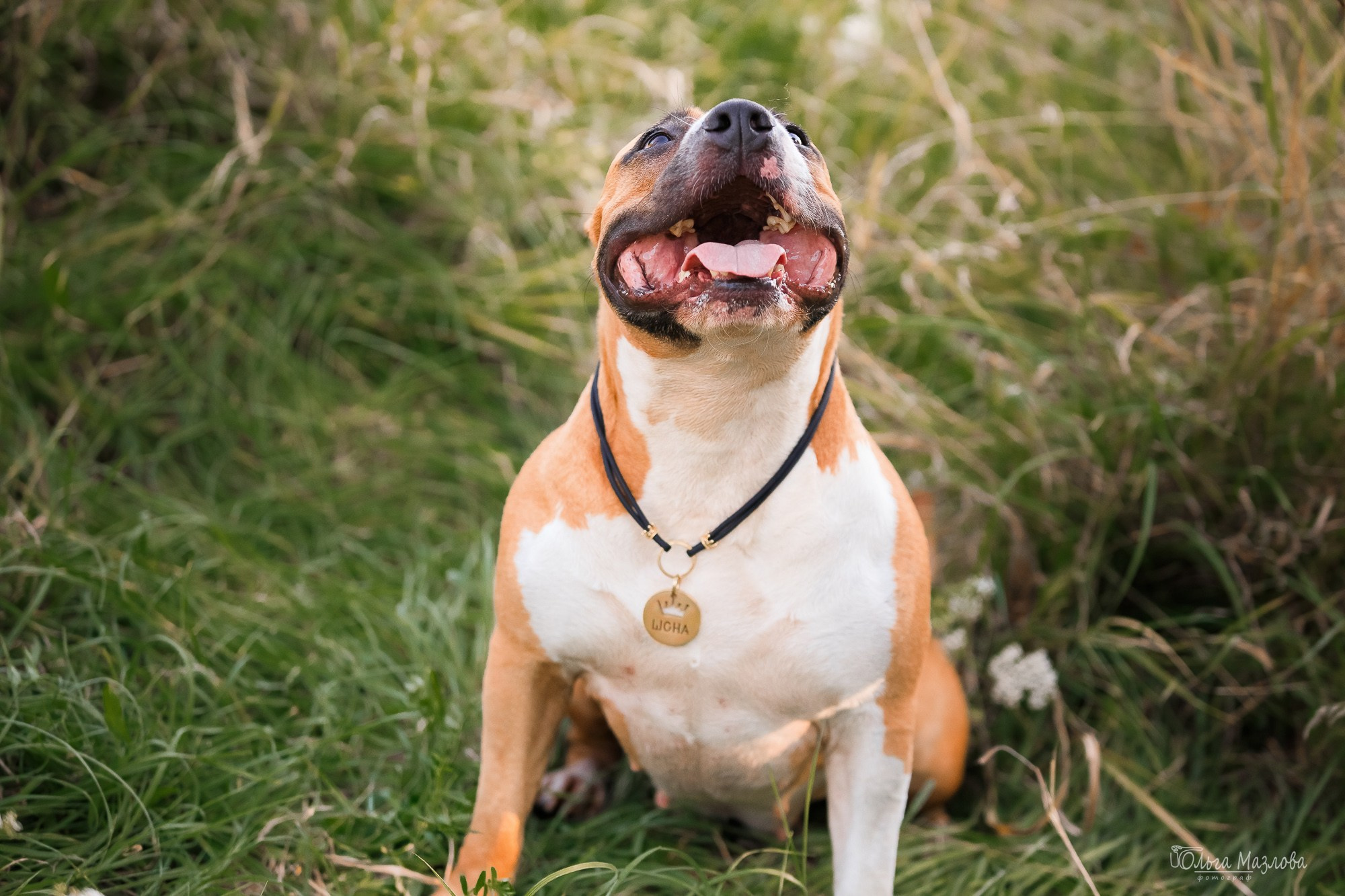 фотограф в Саратове