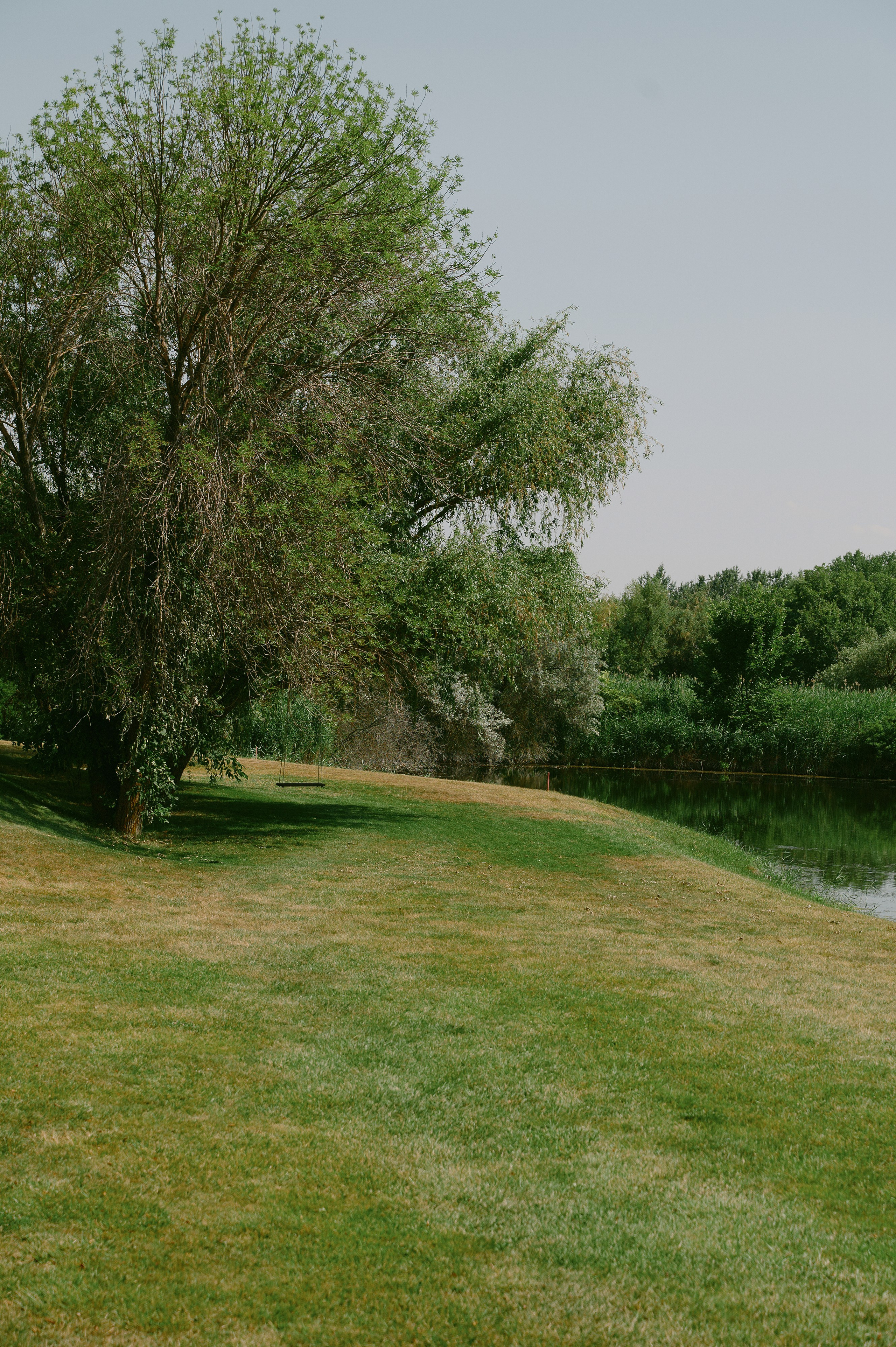 Лина и Стас. Свадебный фотограф в Ростовe-на-Дону Анастасия Прутова