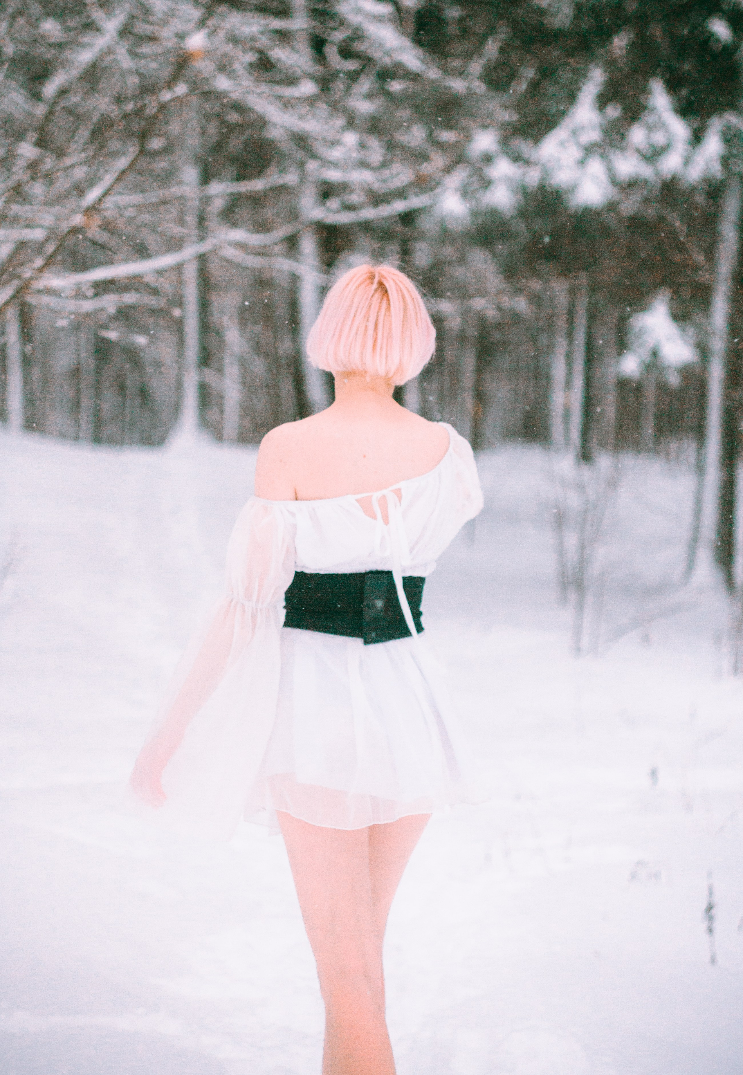 Elizaveta Rose | Forest