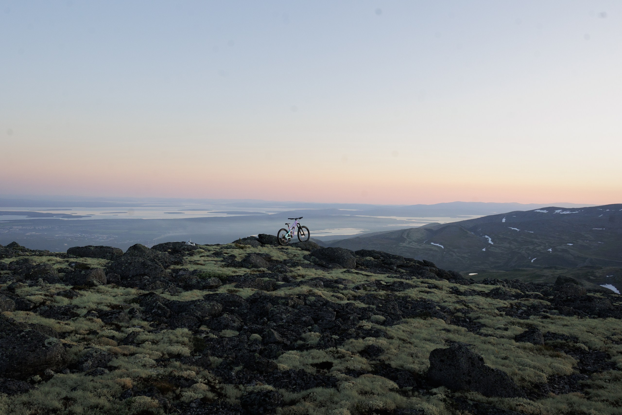 Кандалакшка. Фотограф анималист Никита Натальный