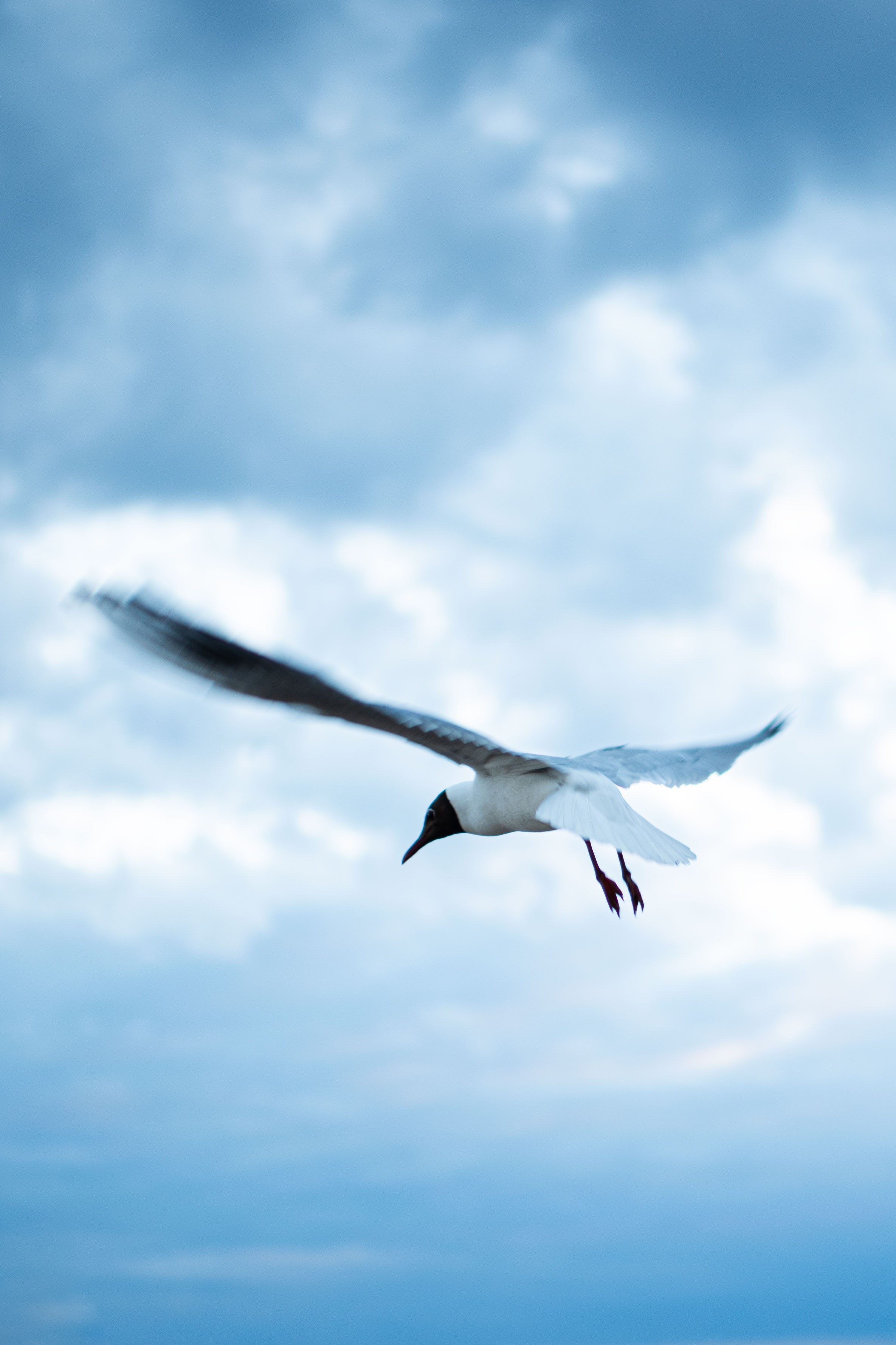 Олеся. Алена Войтко