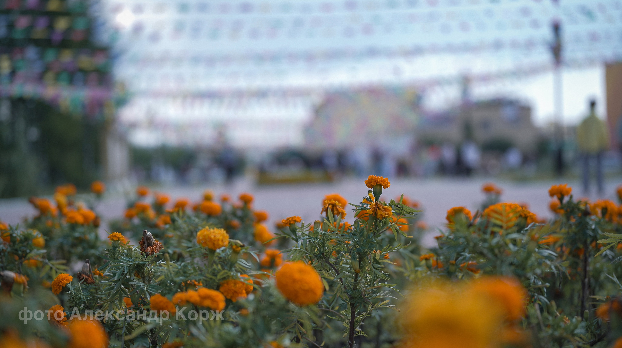 Фотографии Северного поселка Айхал. Фотографии и видеосъемка, Айхал, Удачный, Якутия. Фотографии Айхал