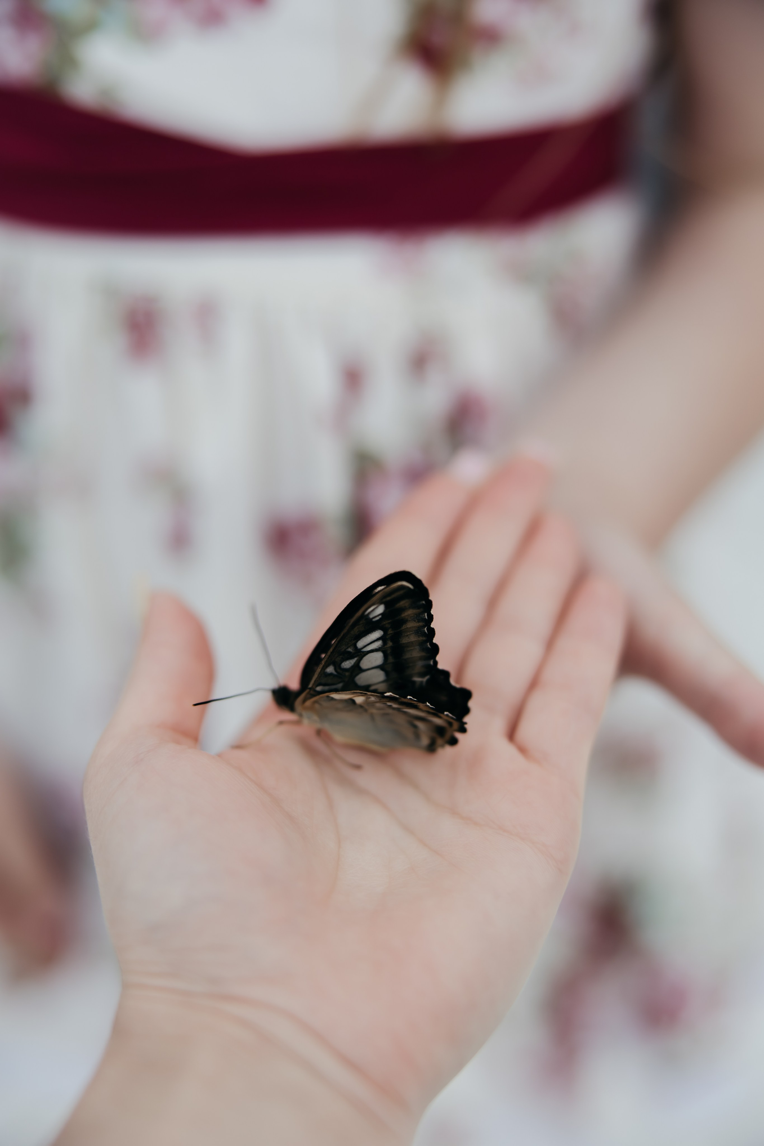 Евгений+Елена. Фотограф Элла Ефимова