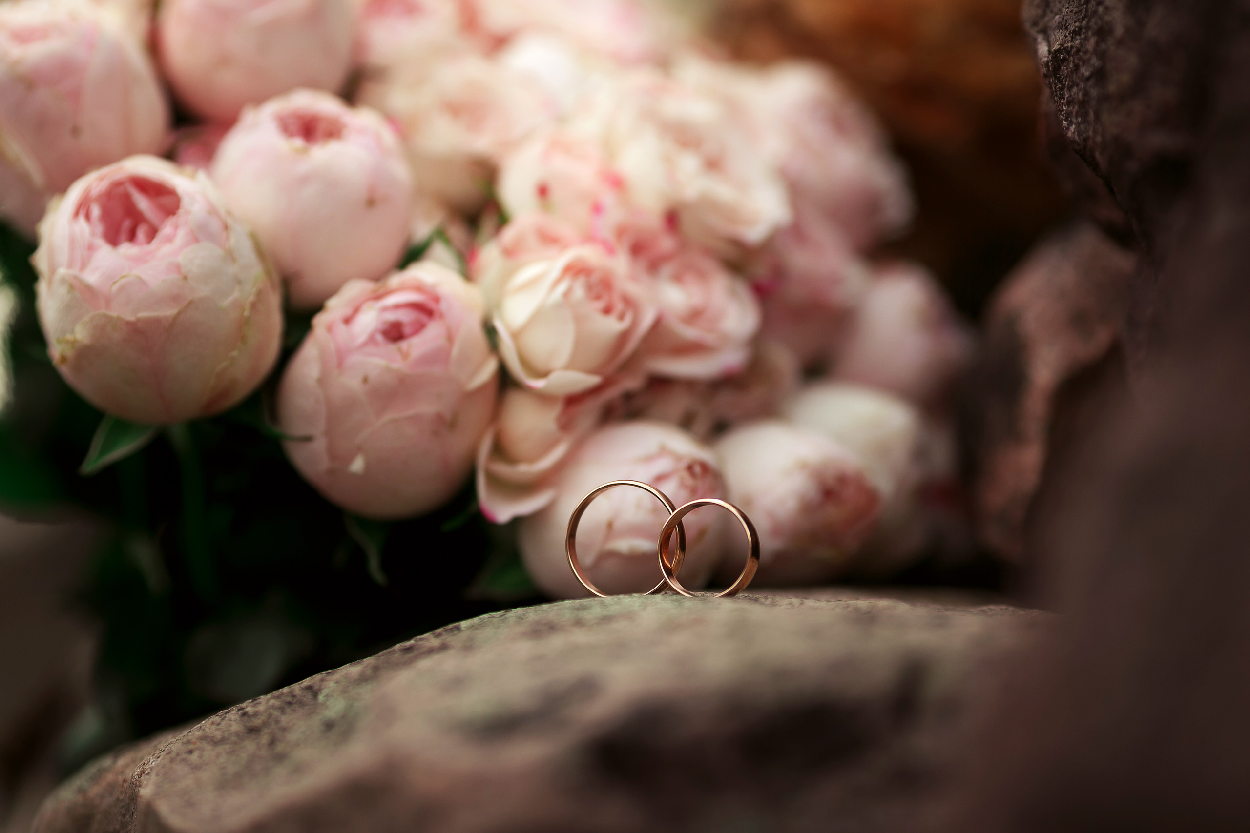 5 августа 2021. Свадебный и семейный фотограф в Череповеце Оксана Лобова