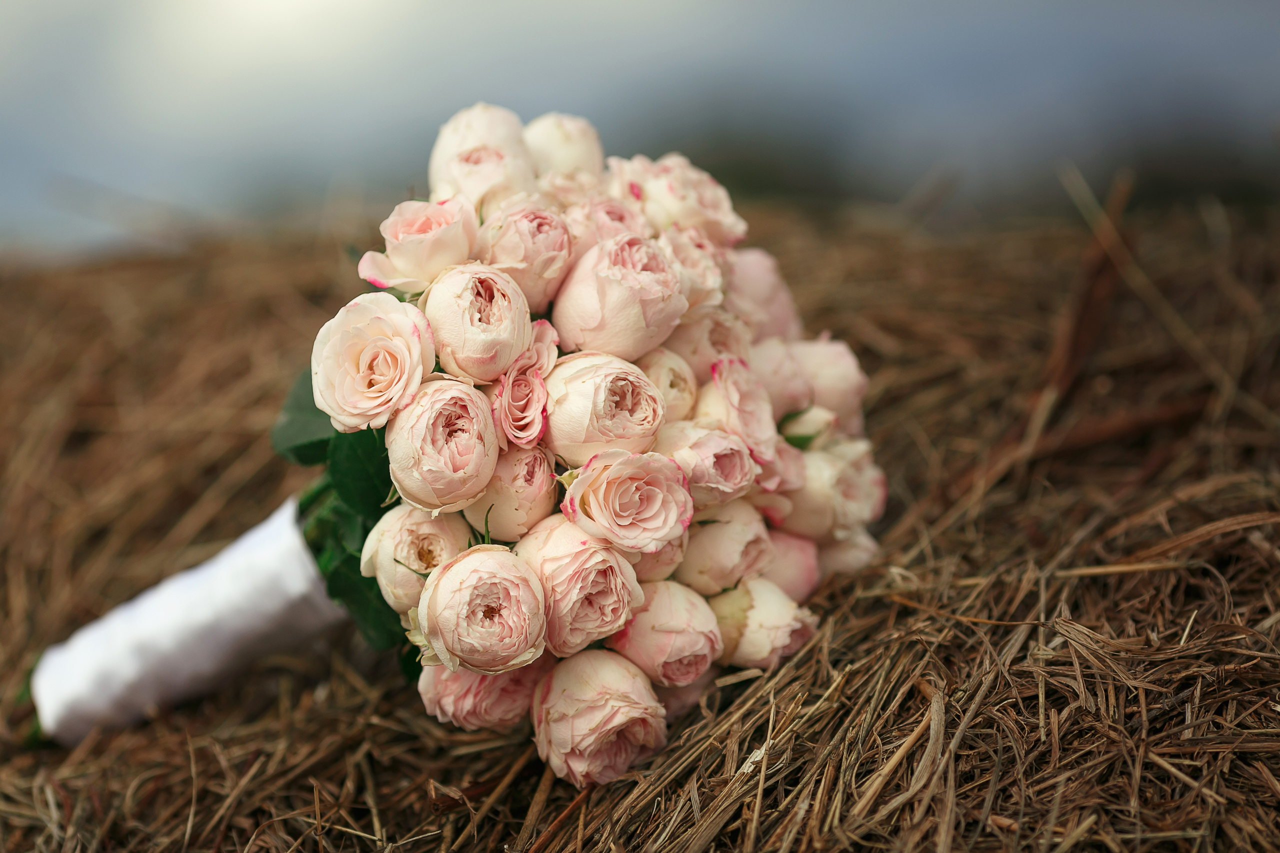 5 августа 2021. Свадебный и семейный фотограф в Череповеце Оксана Лобова