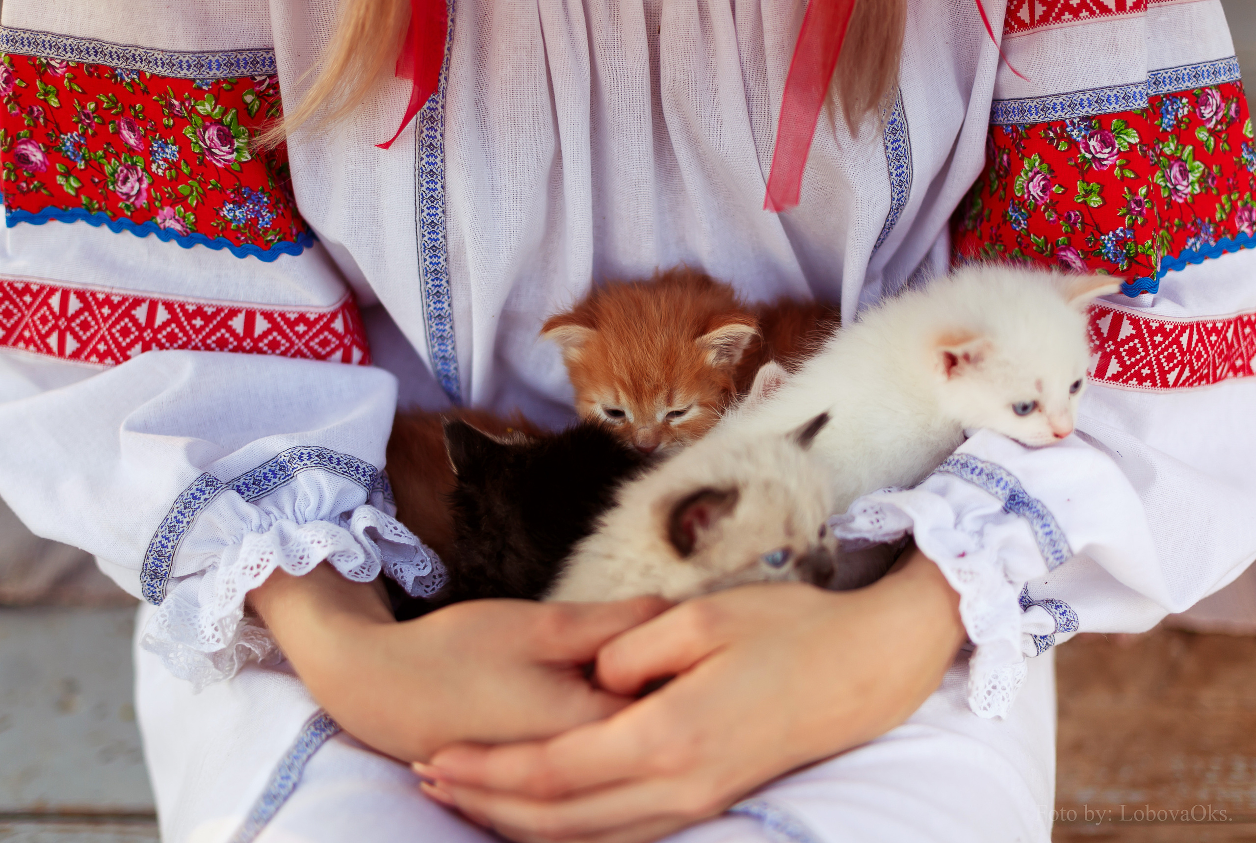 ФОТОПРОЕКТ: Кузнецовское подворье. Свадебный и семейный фотограф в Череповеце Оксана Лобова