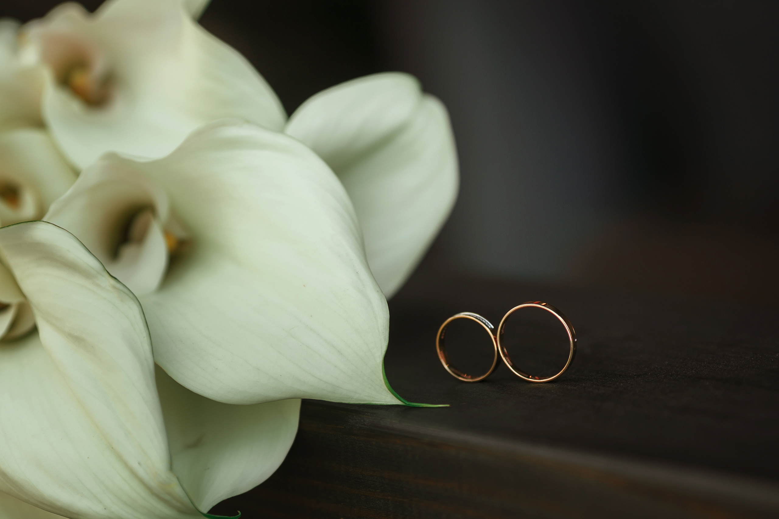 Ольга и Алексей. Свадебный и семейный фотограф в Череповеце Оксана Лобова