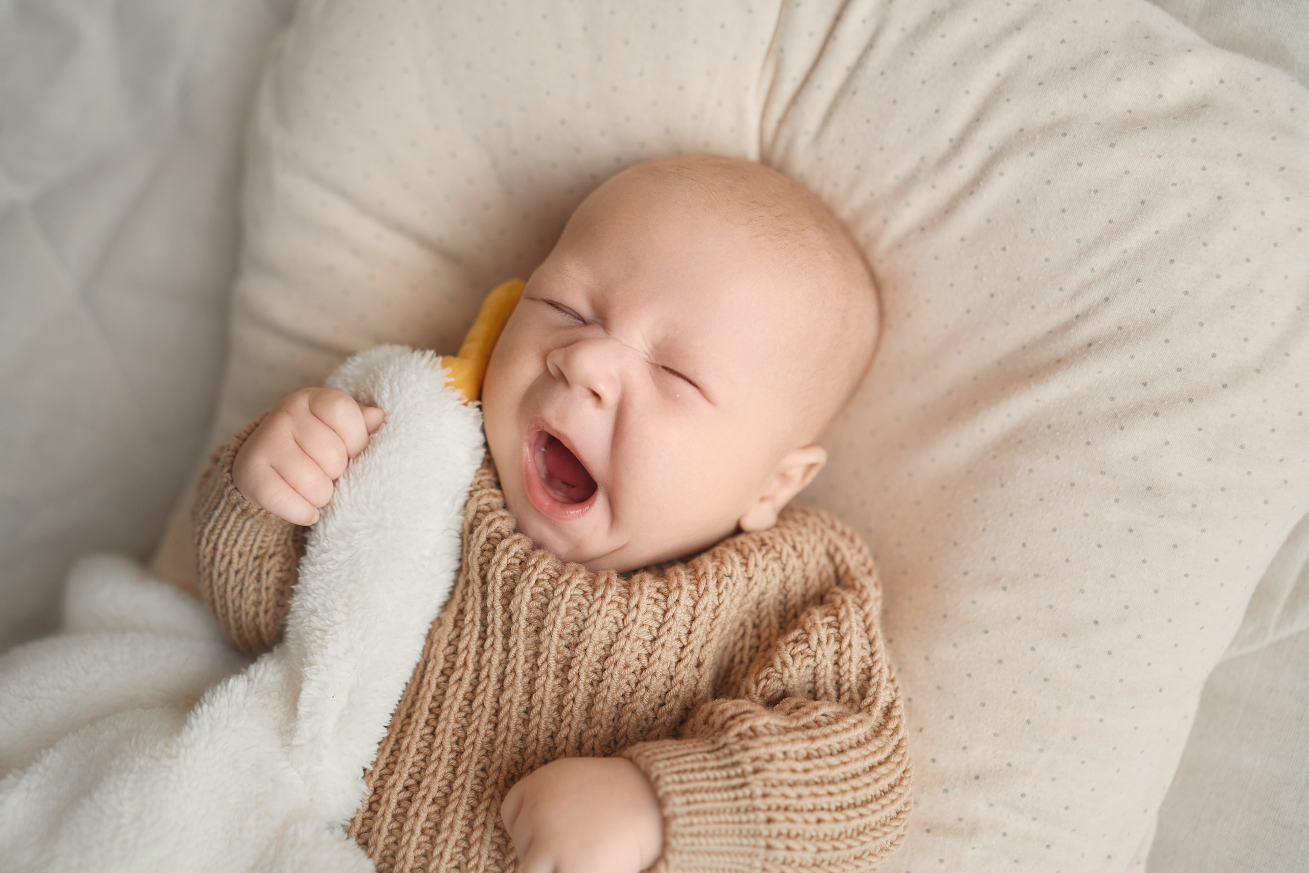 Владимир. Фотограф новорожденных во Владивостоке Ромашко Виктория