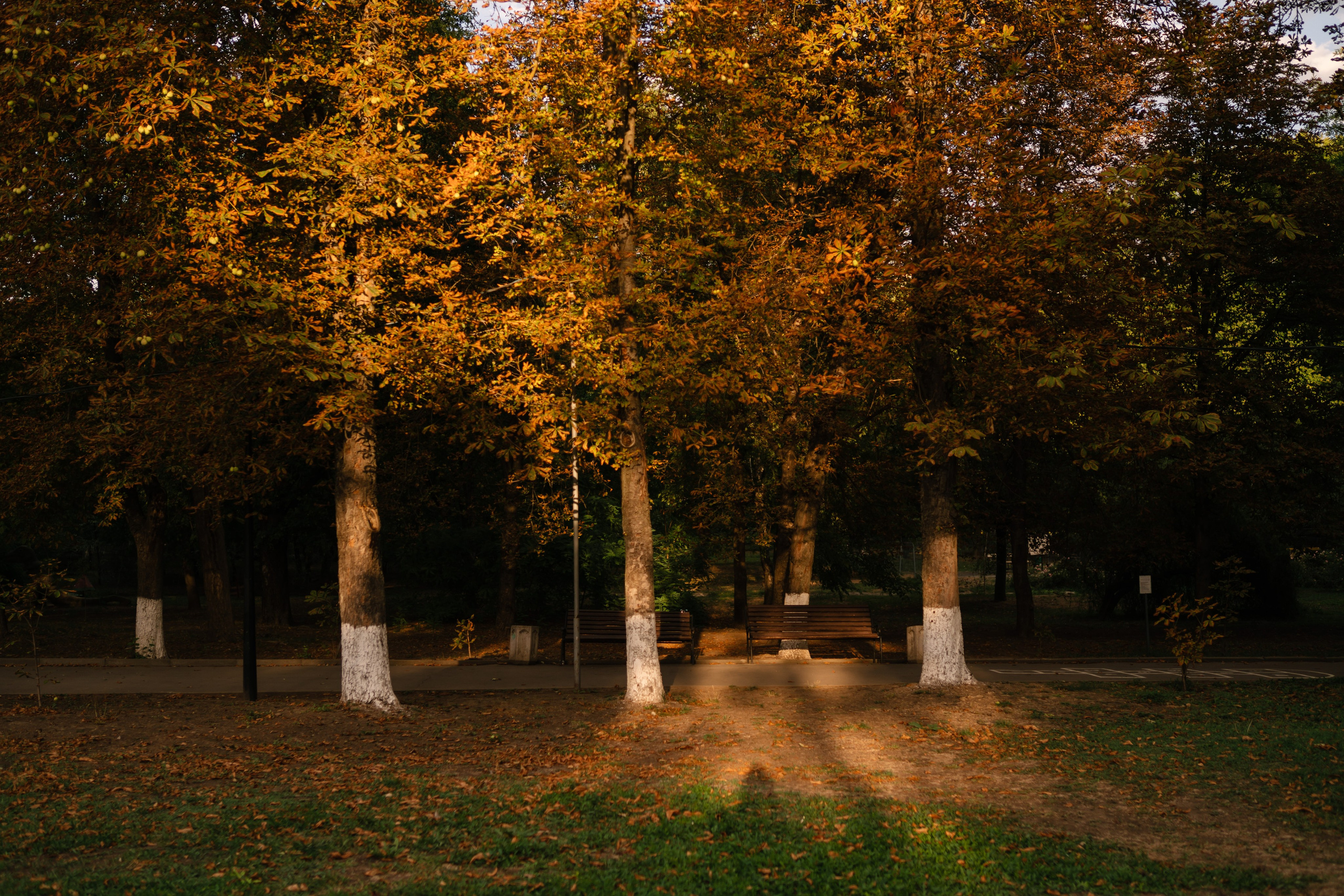 Локации для школьных съемок. Семейный фотограф и видеограф Ростов-на-Дону