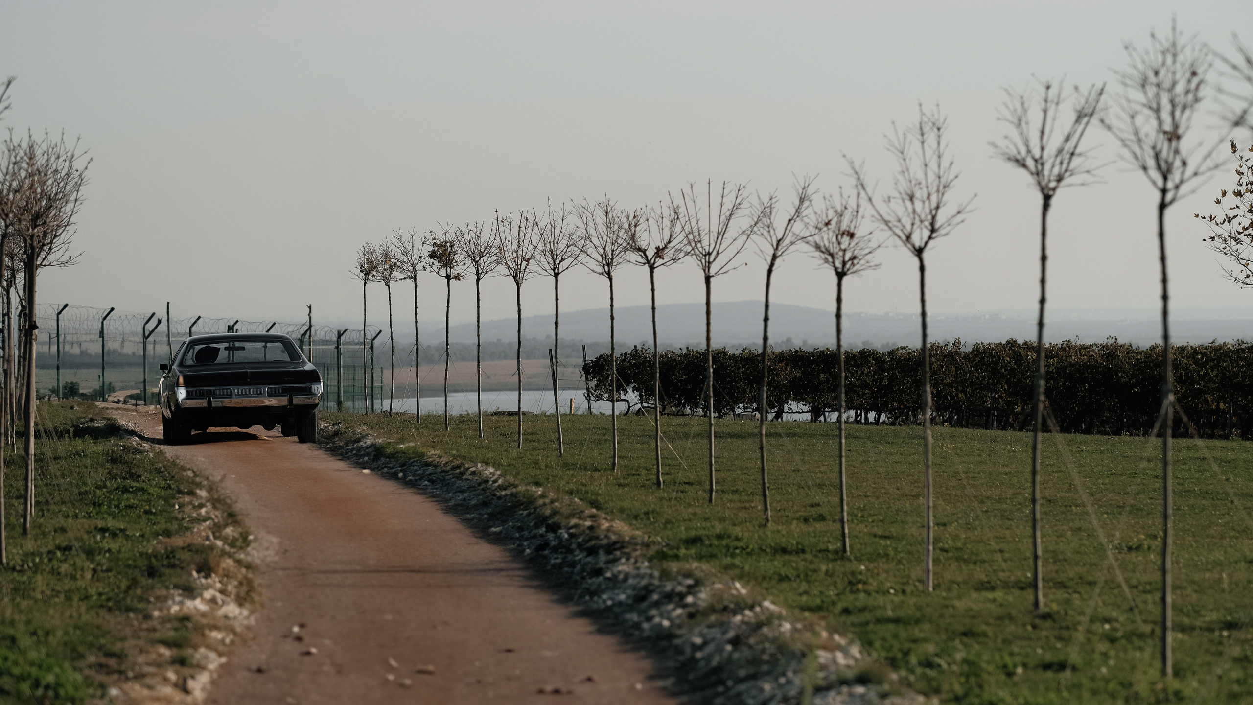 Violetta-Aleksander. Свадебный фотограф Артем Ковалев