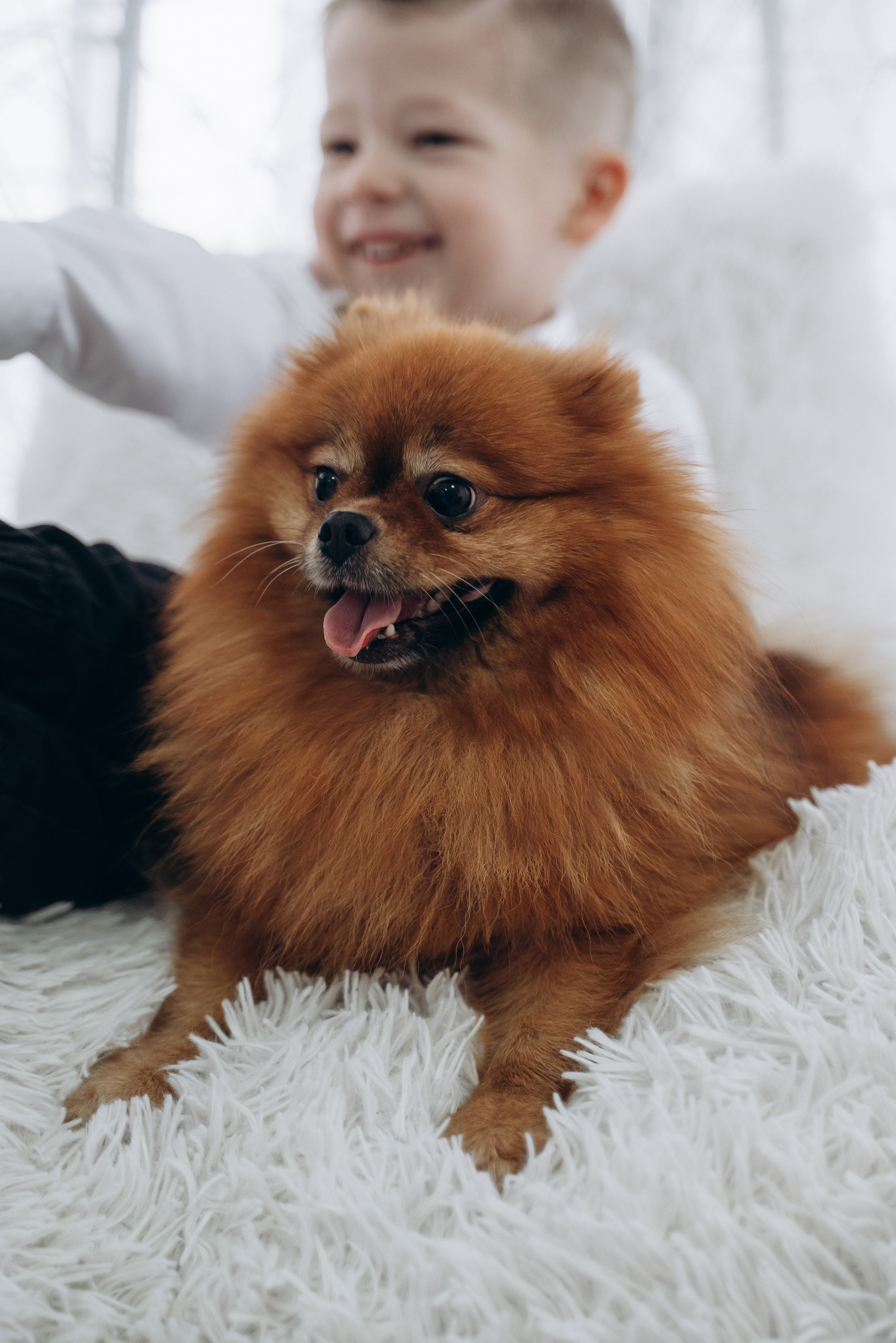 Новогодняя для Веры 2 часть. Семейный фотограф в Минске Дарья Дреко