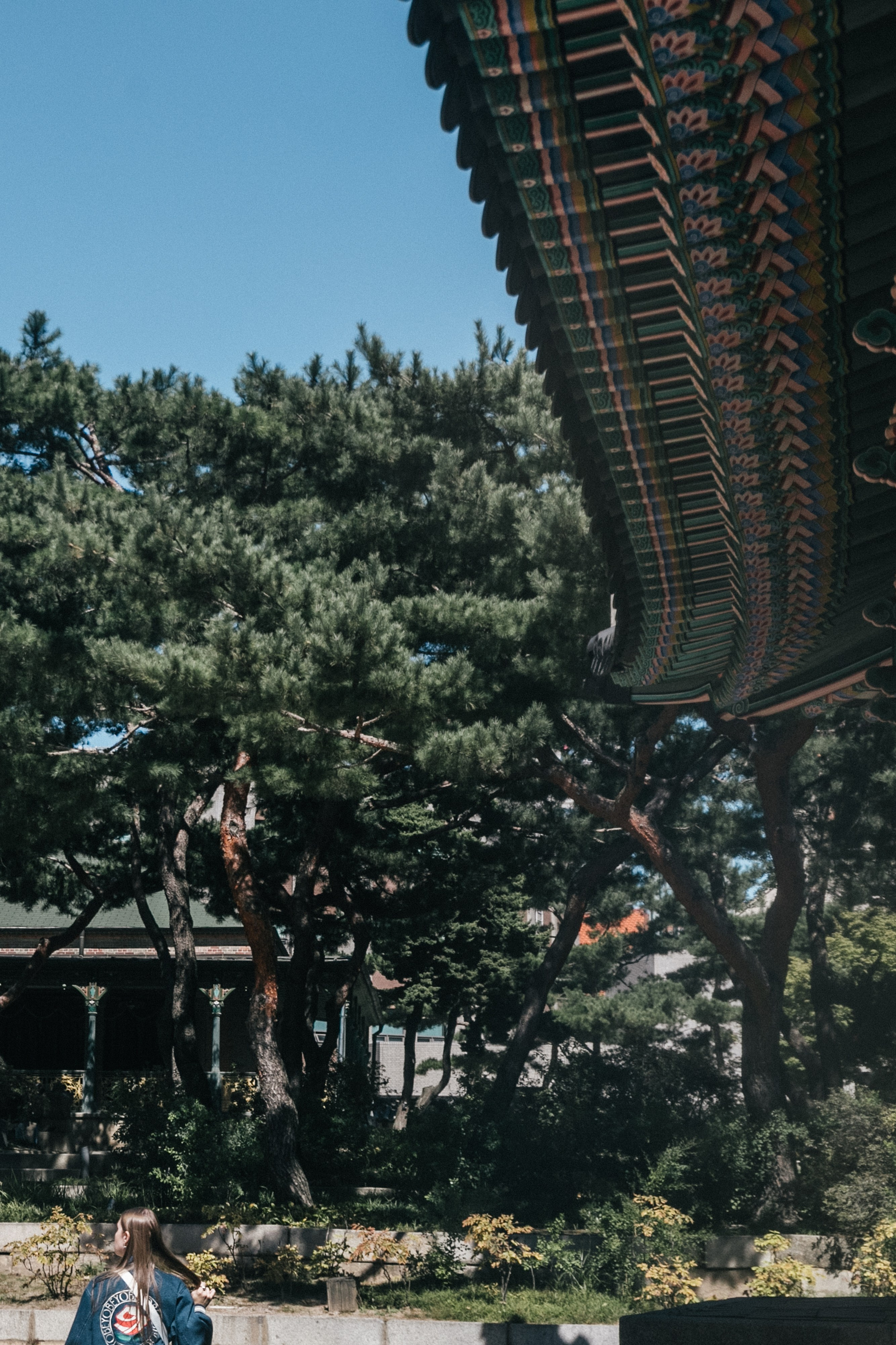 Street/travel. Photographer, Masha Berliner