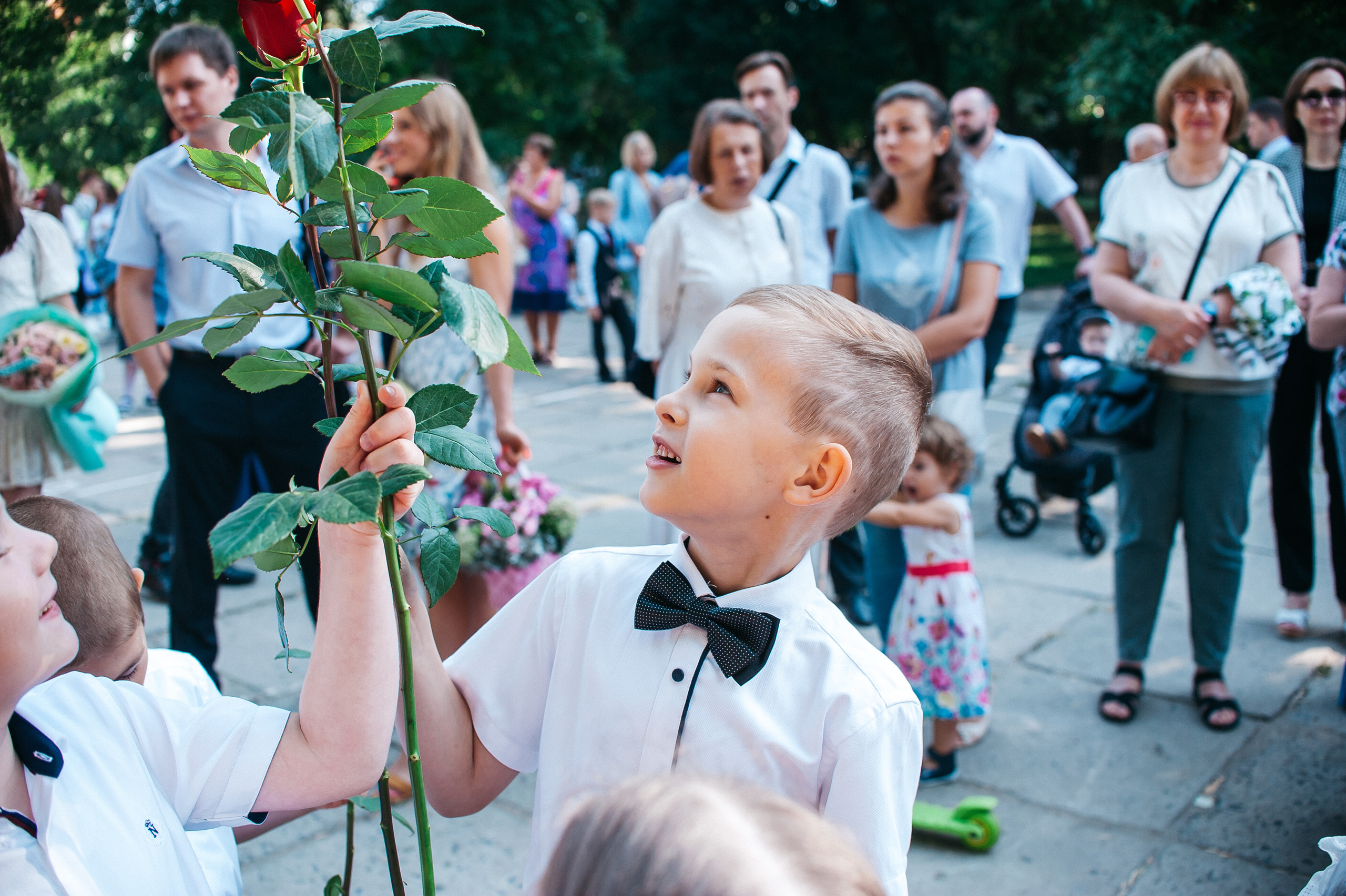 Линейка 1ж класса, Лицей 103. Свадебный и семейный фотограф в Ростове-на-Дону Алина Астахова