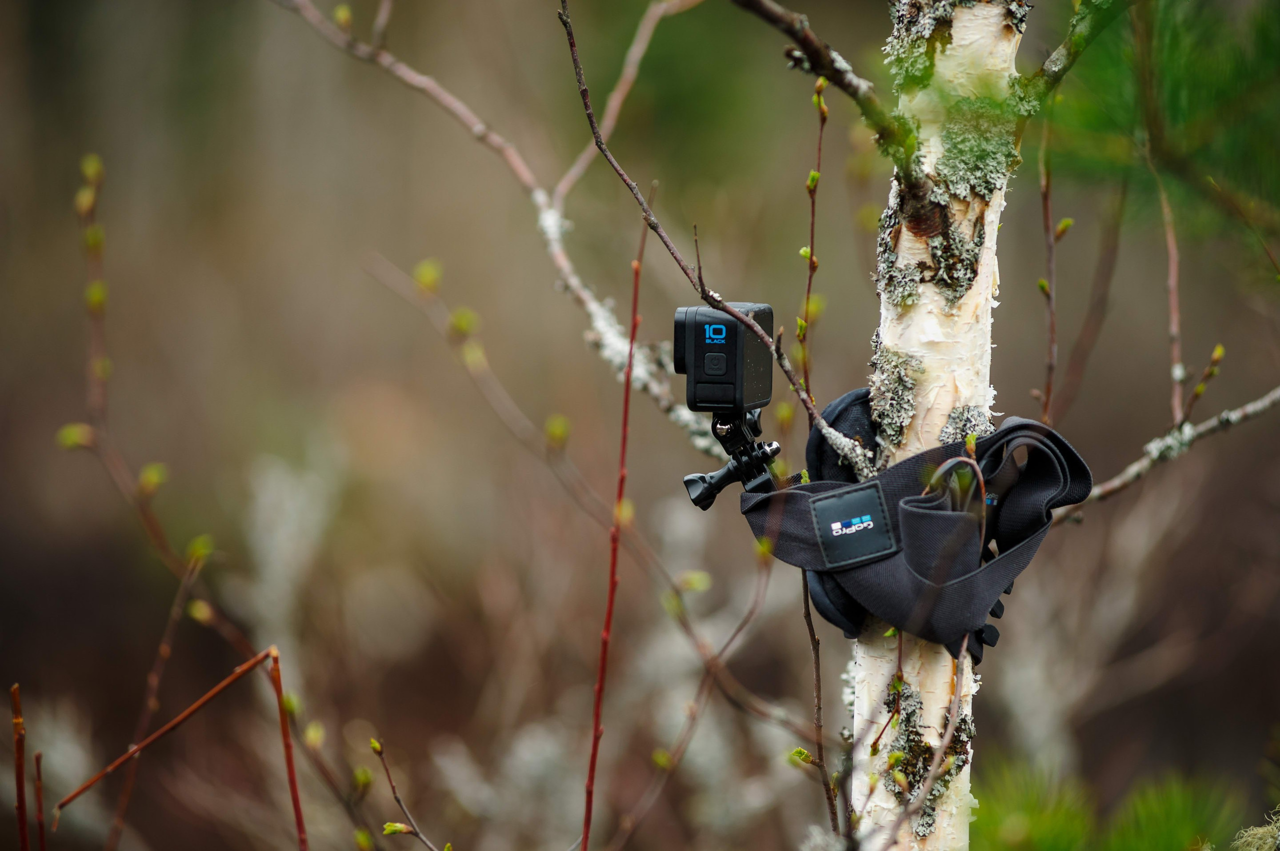 Ленинград-трофи 2024 — день 1. Фотограф Алексей Алексеев