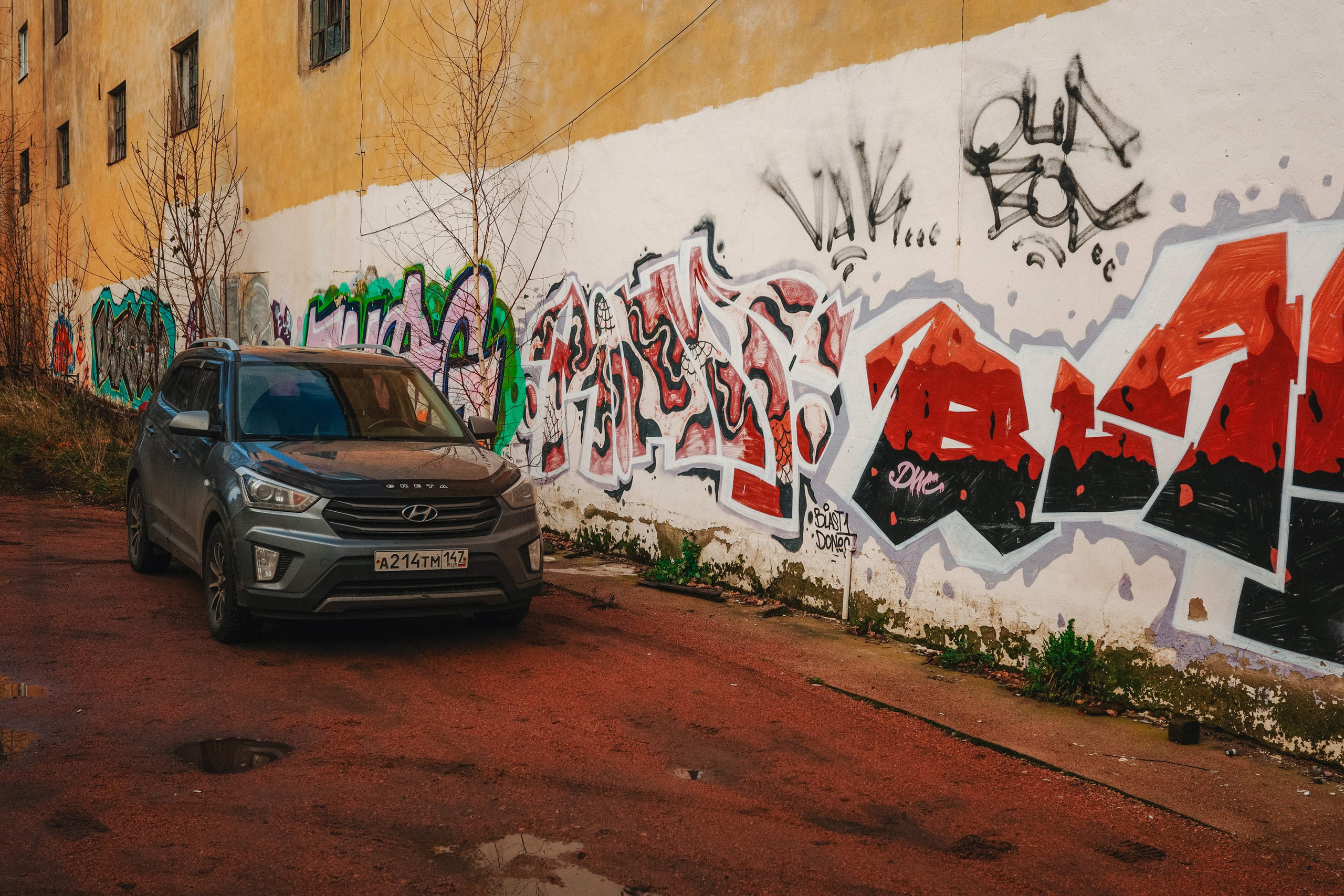 2024.11. Фотограф Алексей Алексеев