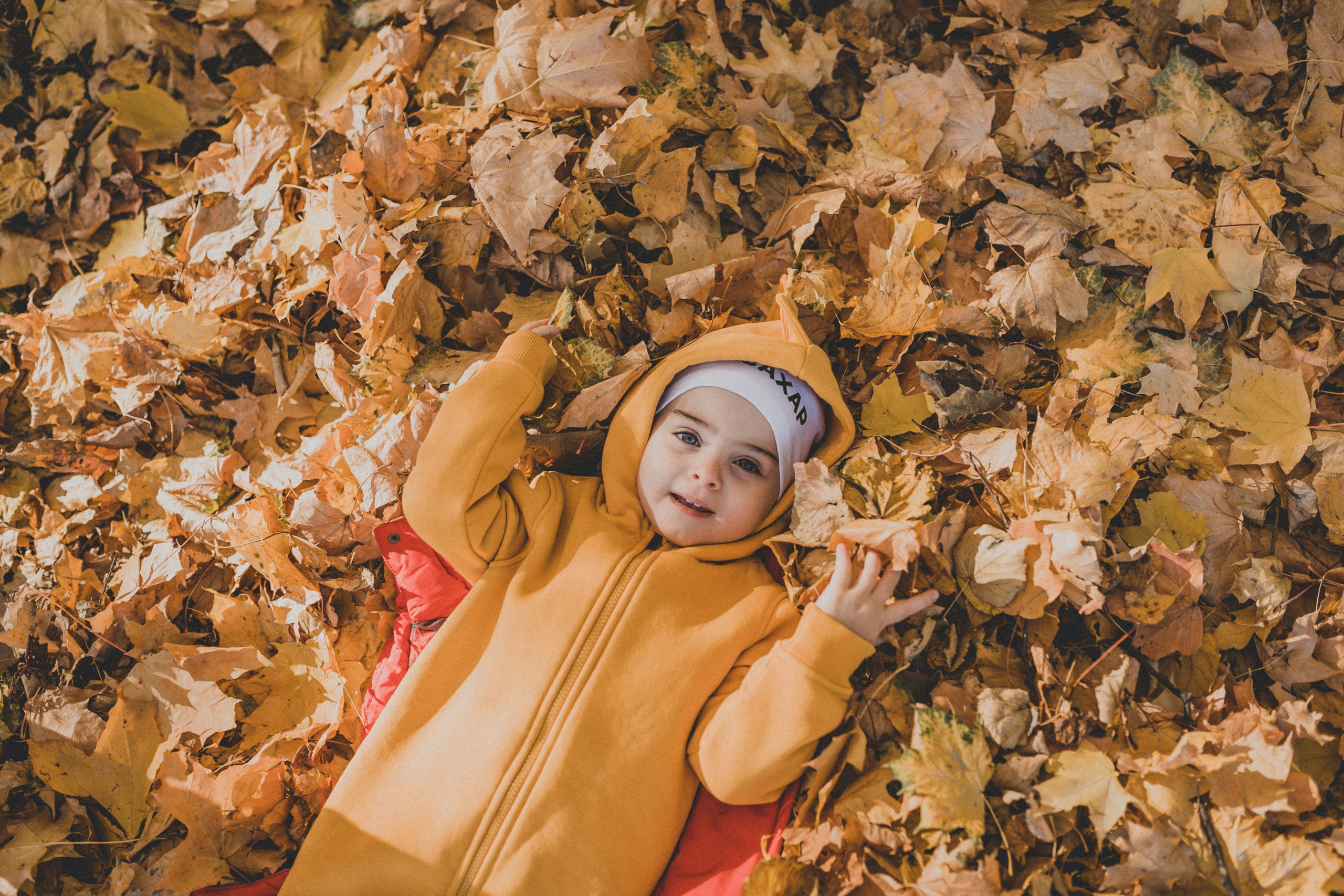 КОГДА ДЕРЕВЬЯ БЫЛИ БОЛЬШИМИ. Фотограф Лебедева Наталья