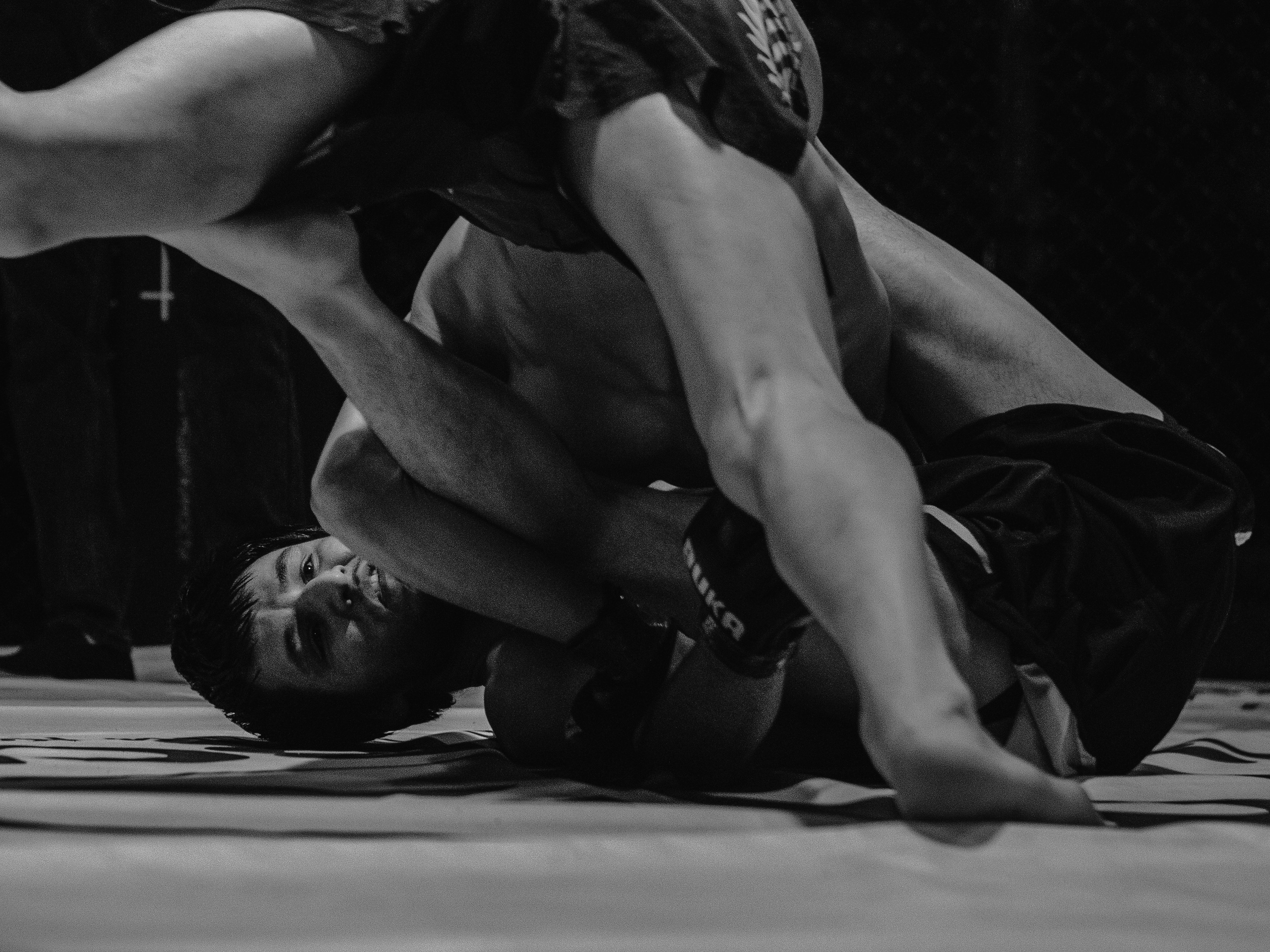 SFL 17 | Siberian Fighting League. Портретный фотограф в Москве Дарья Цезария