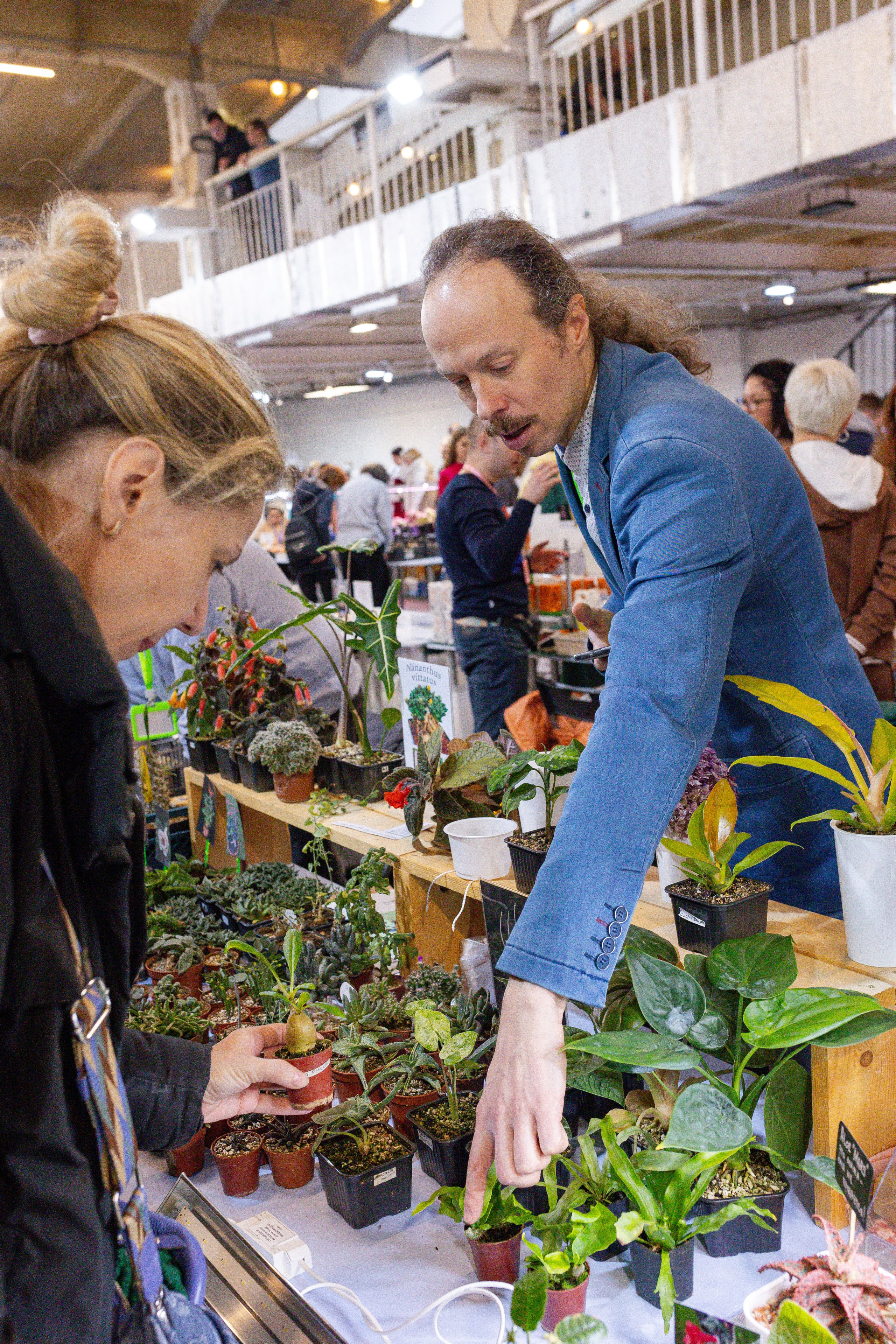 Кактус Фест. Александра Куликова фотограф, Москва