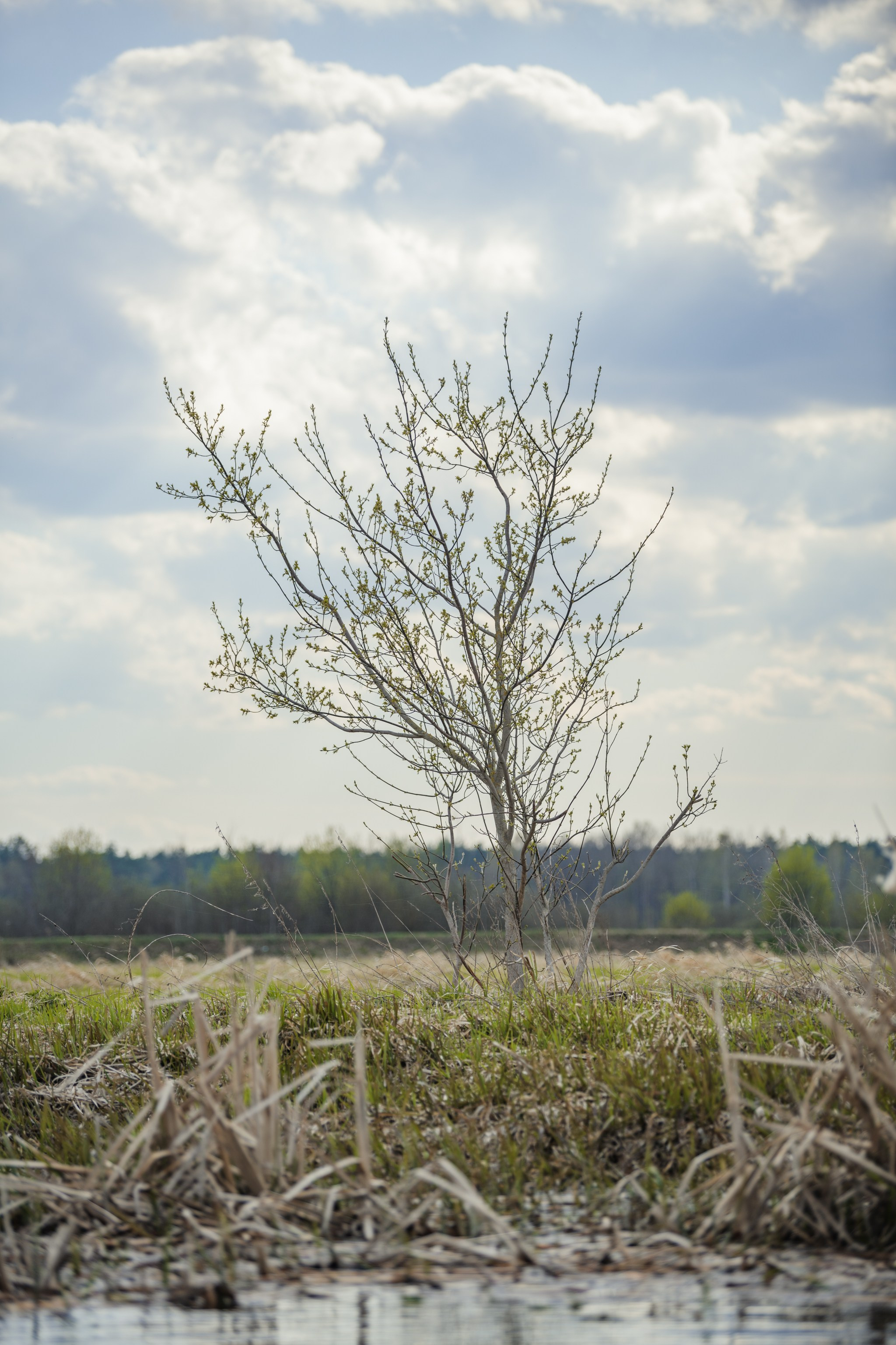 Водный поход 1-й кс по реке Случь. Репортажный фотограф Владимир Беляй