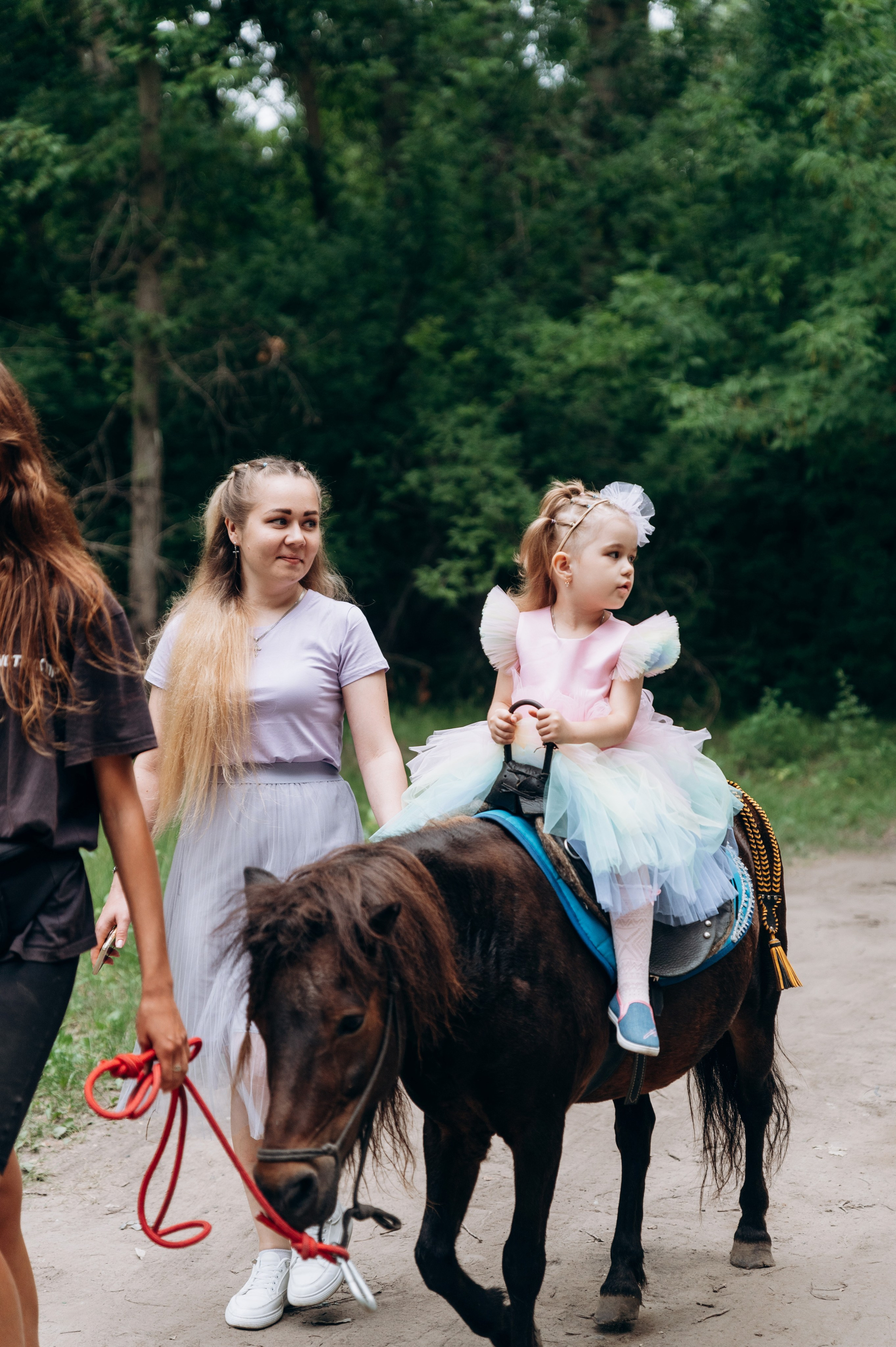 Конная прогулка. Фотограф в Новосибирске