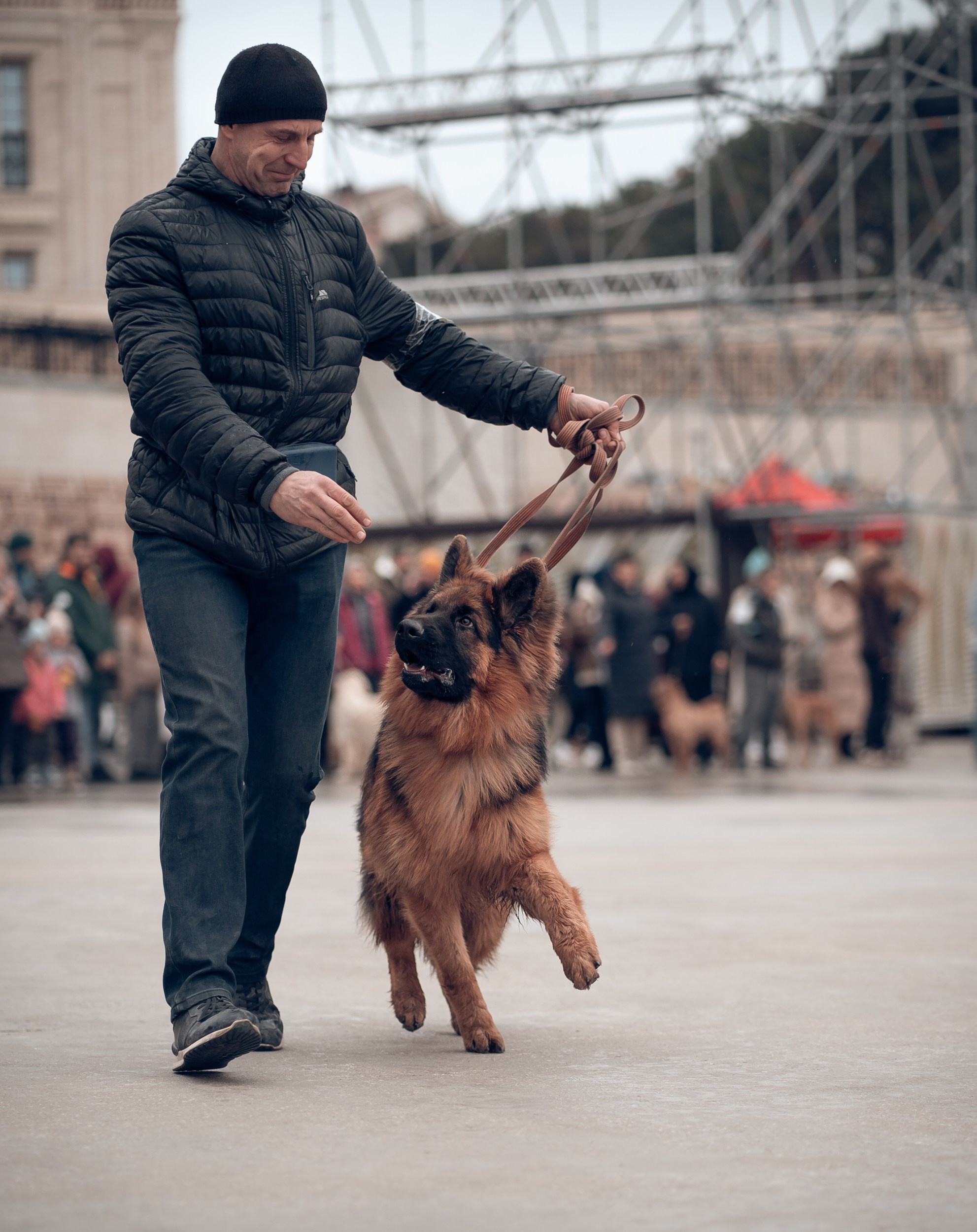 Благотворительная выставка собак в Новом Херсонесе г. Севастополь. Церковный фотограф Севастополь