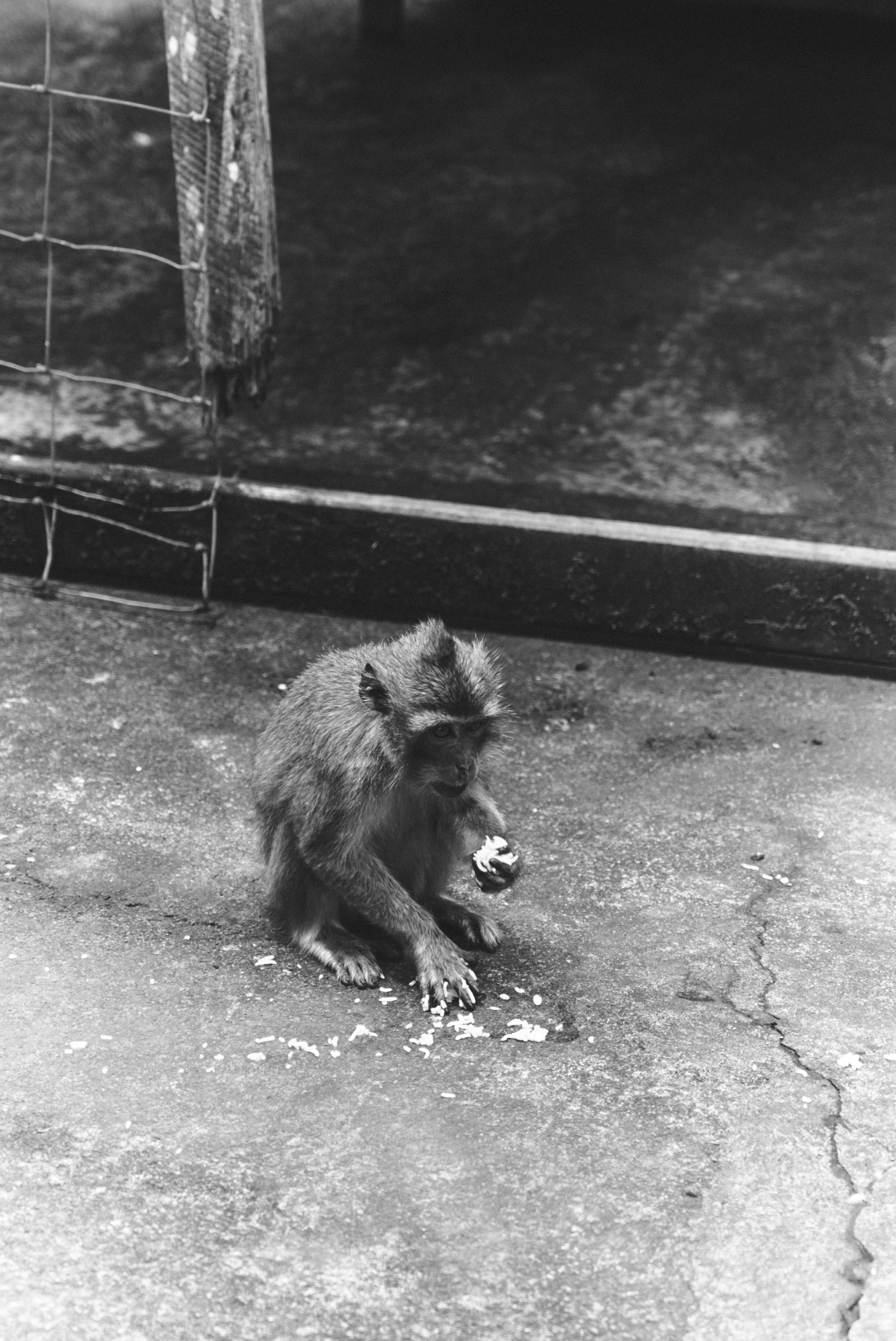 U Magazine x Выездная редакция. Фотограф Сурков Никита