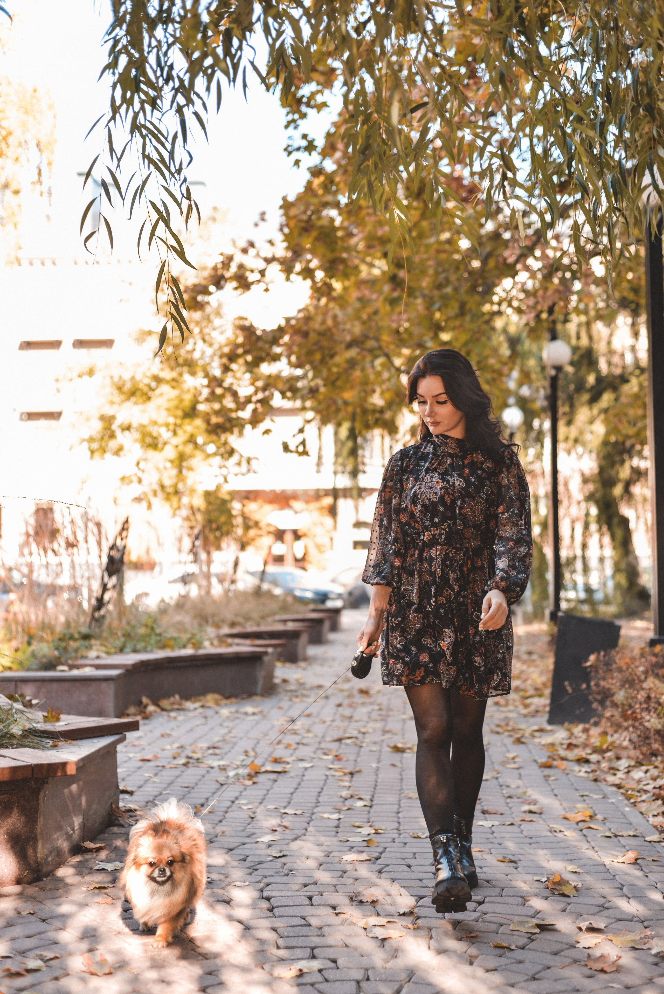 Алина с Кнопкой прогулка. Семейный и свадебный фотограф Галина Абакумова, фотосессии в Белгороде