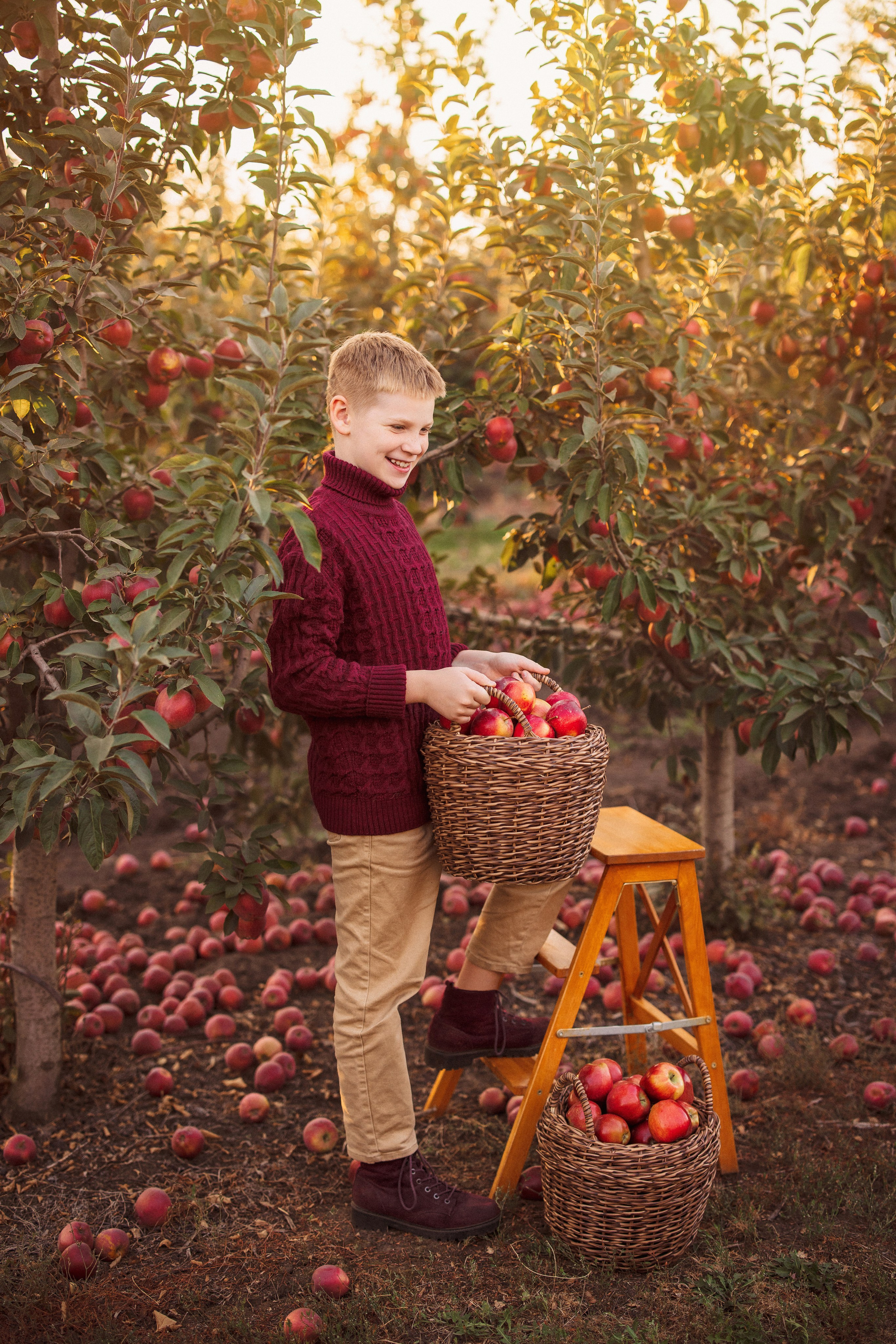 Сбор урожая Яблок. Семейный и детский фотограф в Краснодаре Анна Трашкова