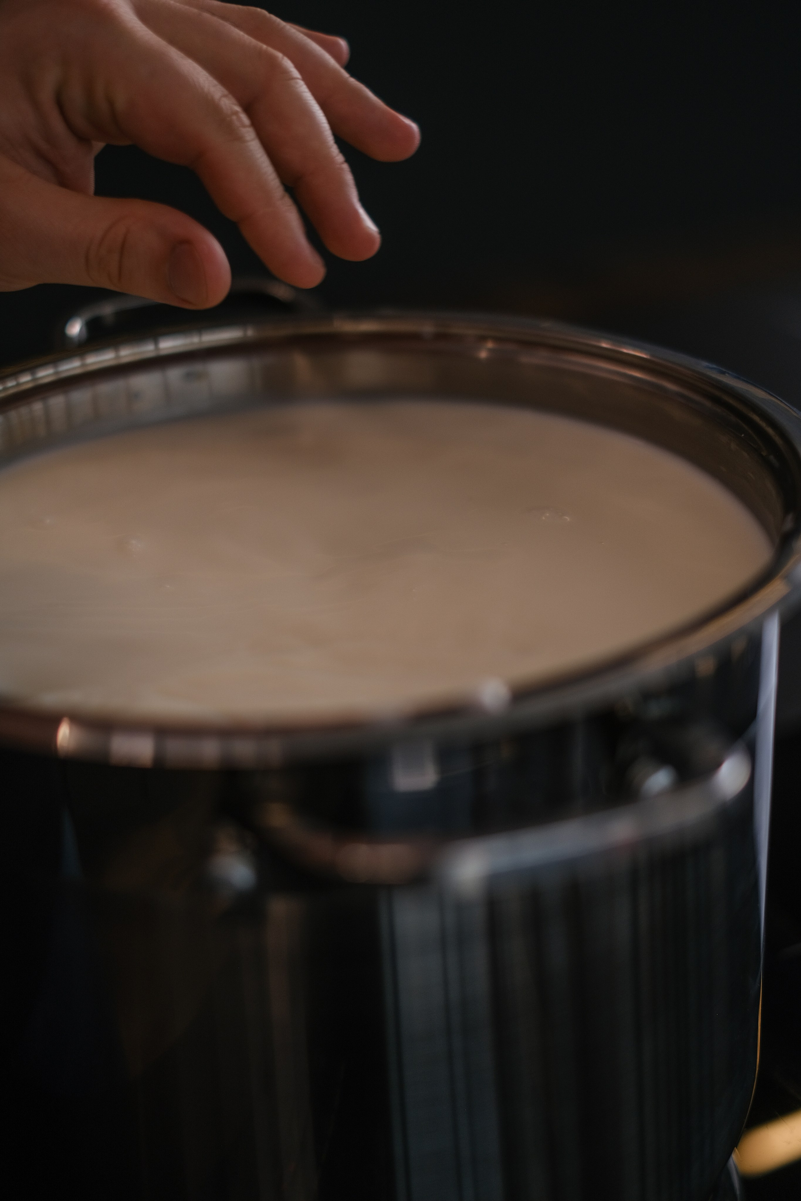 Домашний сыр бренда «TAGA». Портретные и творческие съемки Санкт-Петребург