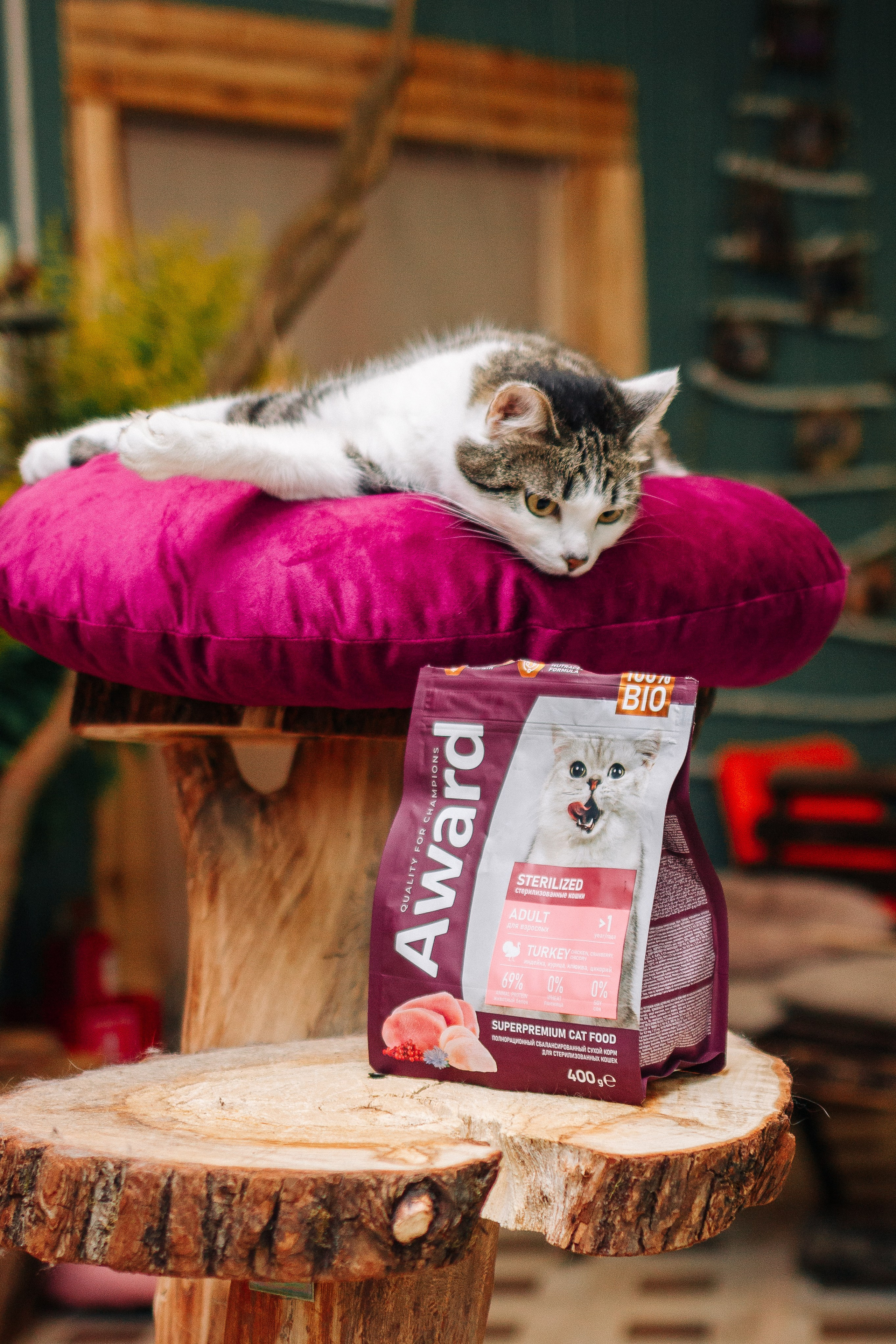 Благотворительная съемка животных. Предметный фотограф в Москве Дарья Радькович