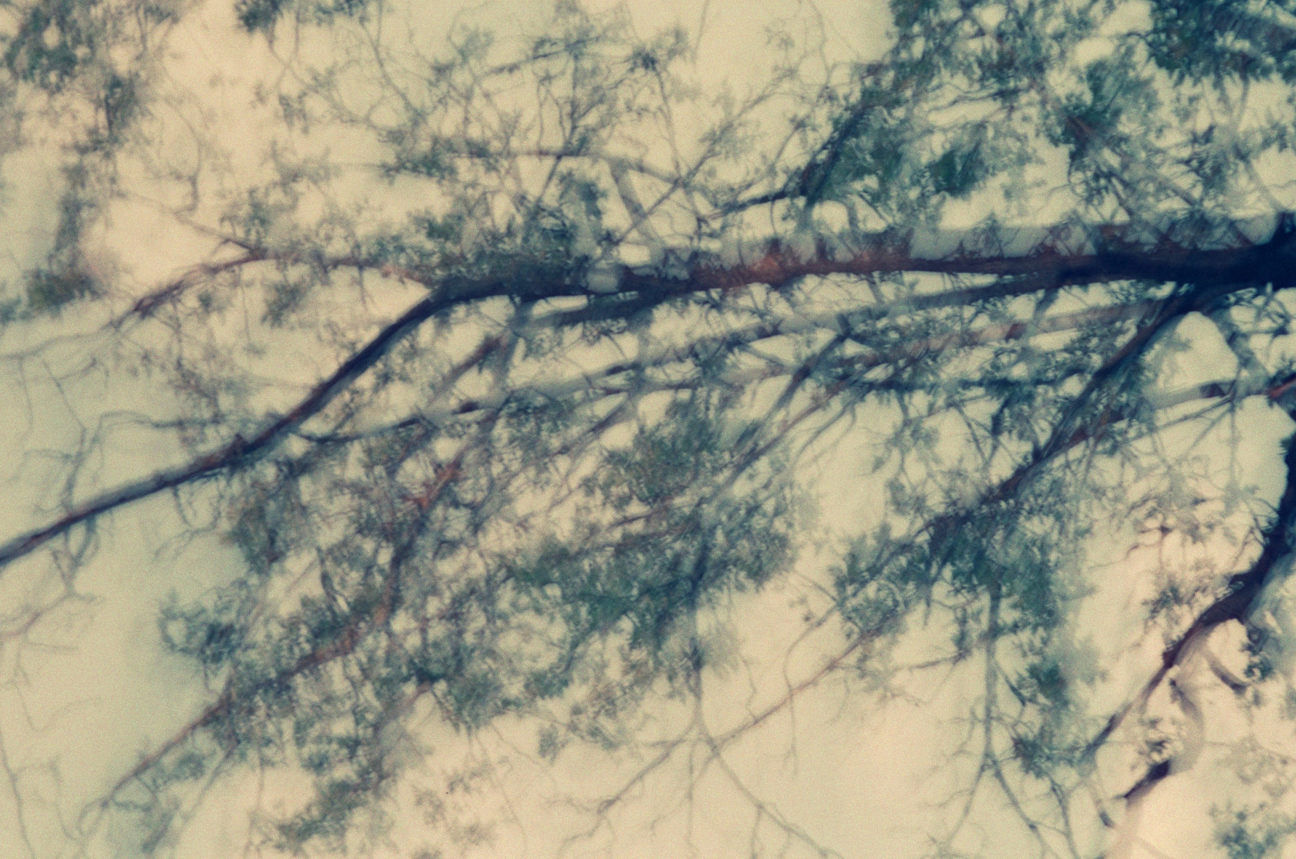 Портфолио. Мария Баракова