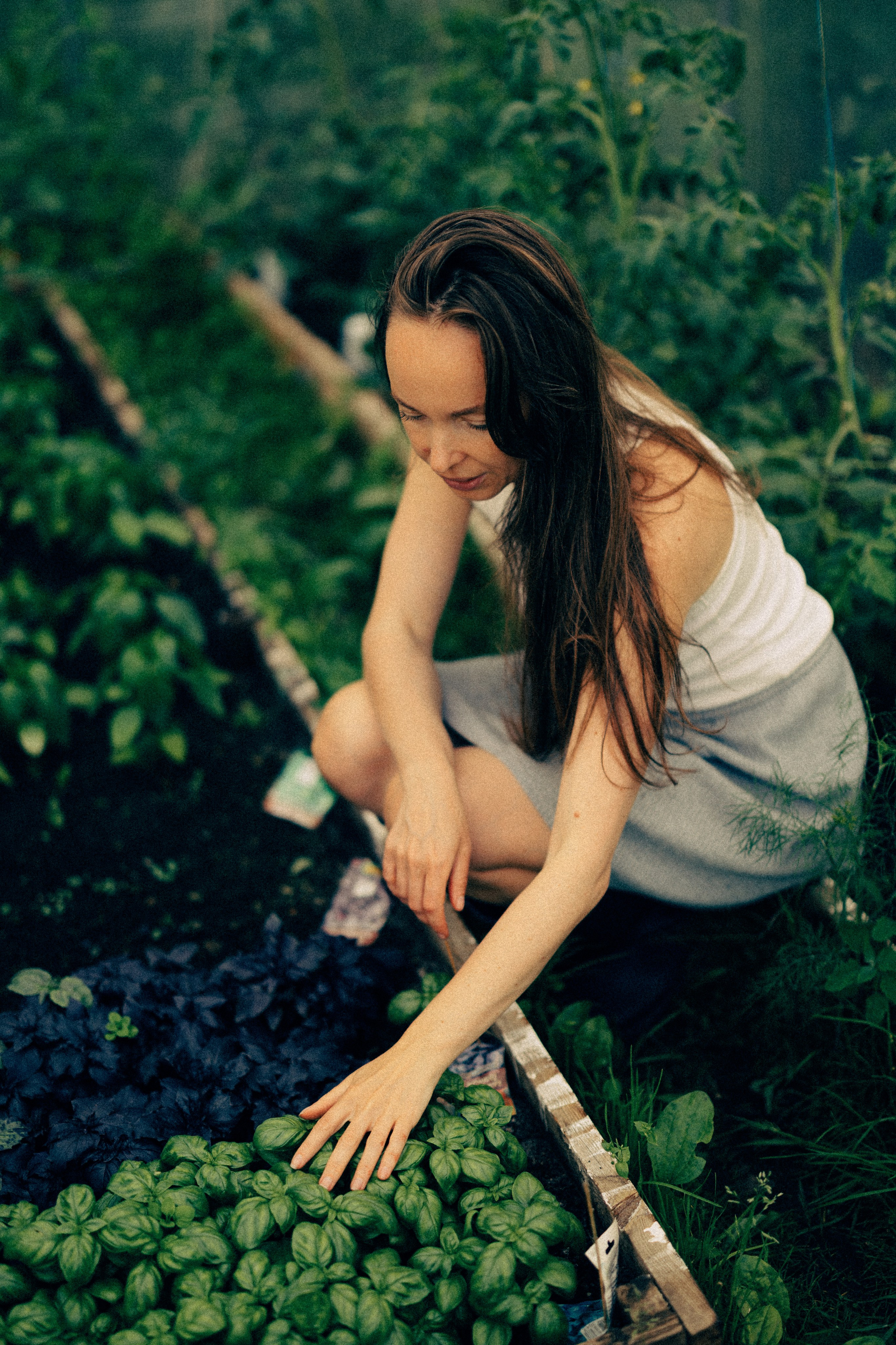 Обжитое. Daria Chigintseva Photographer