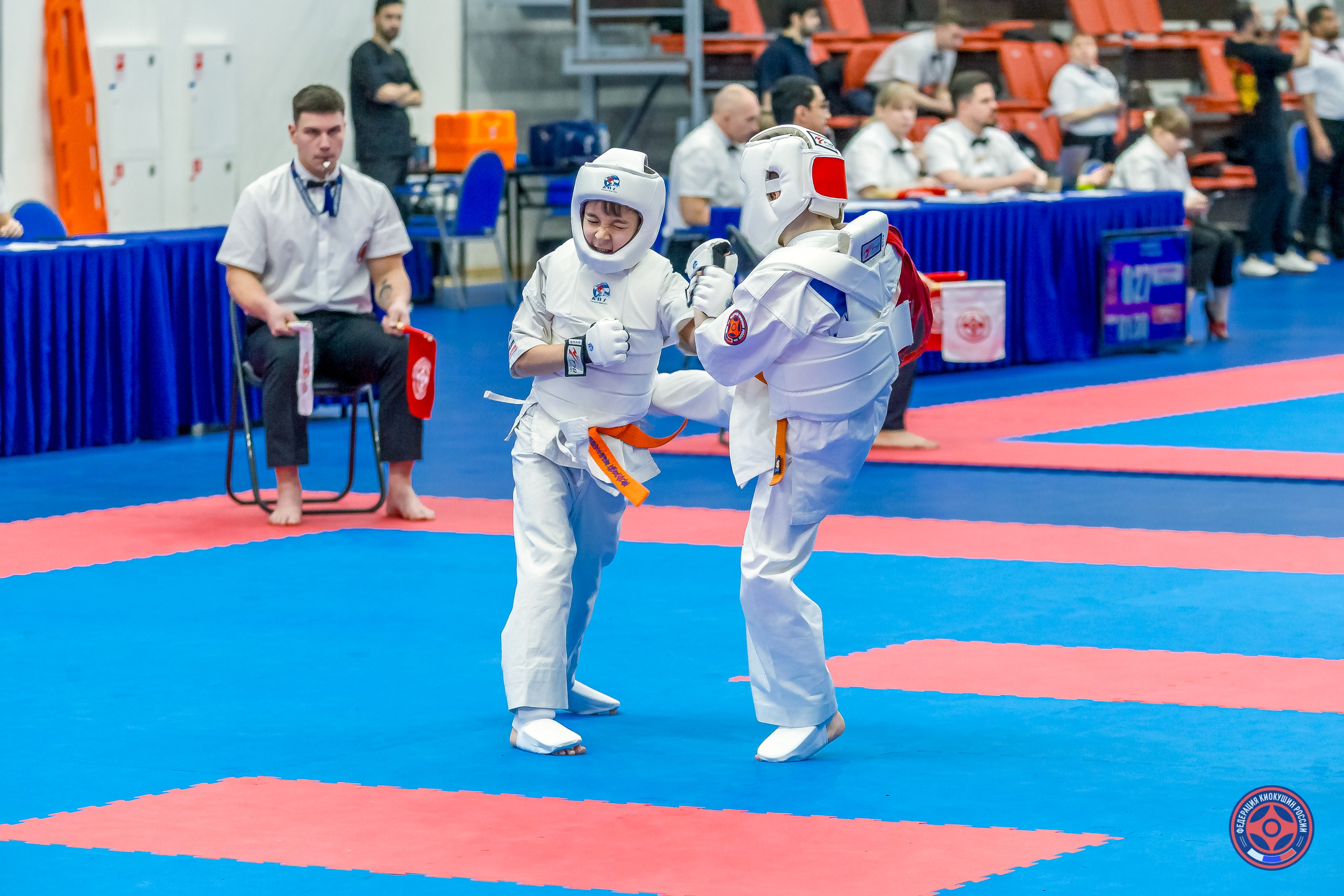 Международный турнир по киокушин «Открытый кубок Seiken». Репортажная съемка в Москве и области. Анималистика