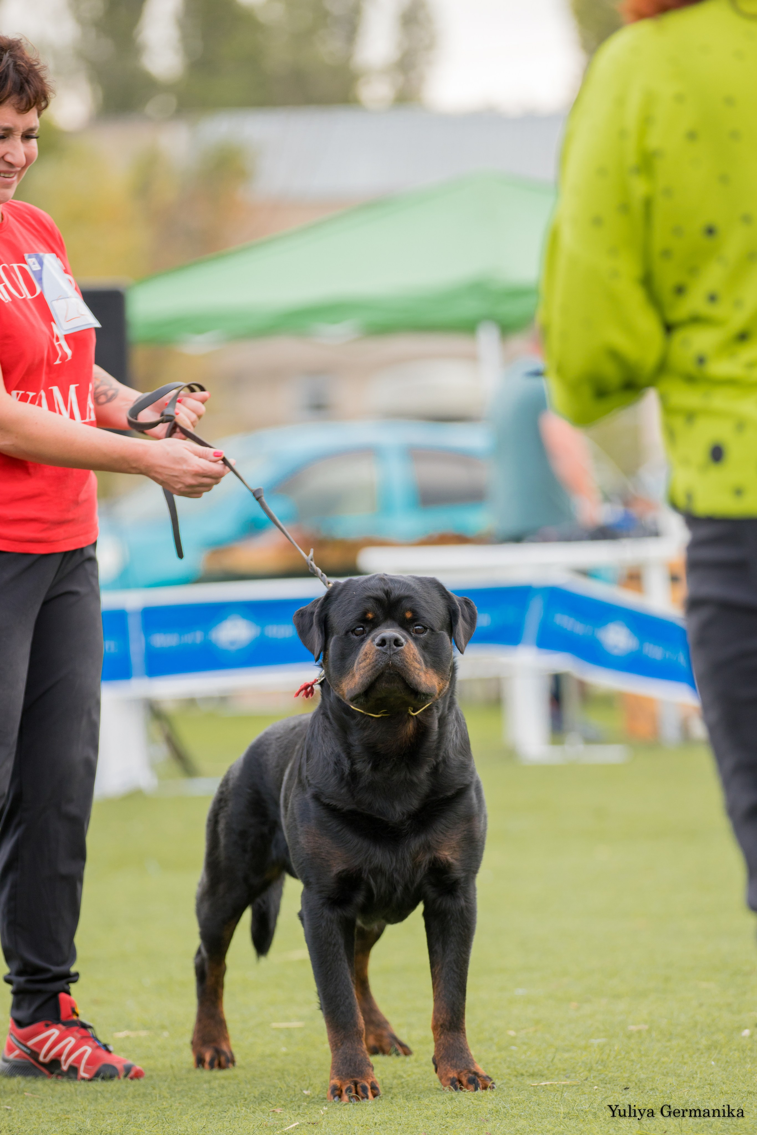 Анапа 16-17.09.2023 моно ротвейлеров. Фотограф-анималист Юлия Германика