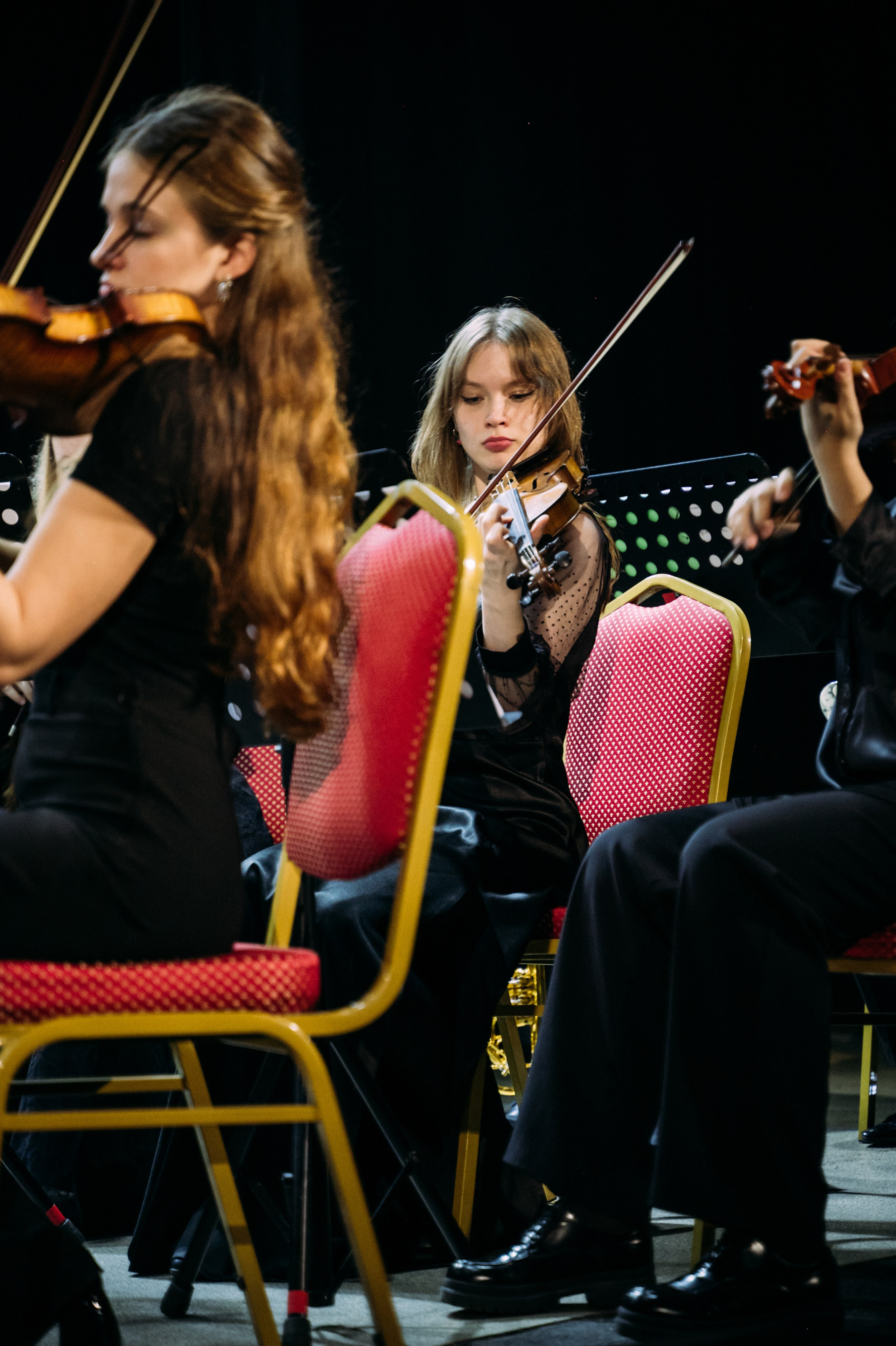 Симфонический оркестр. Фотограф в Волгограде Марина Черных